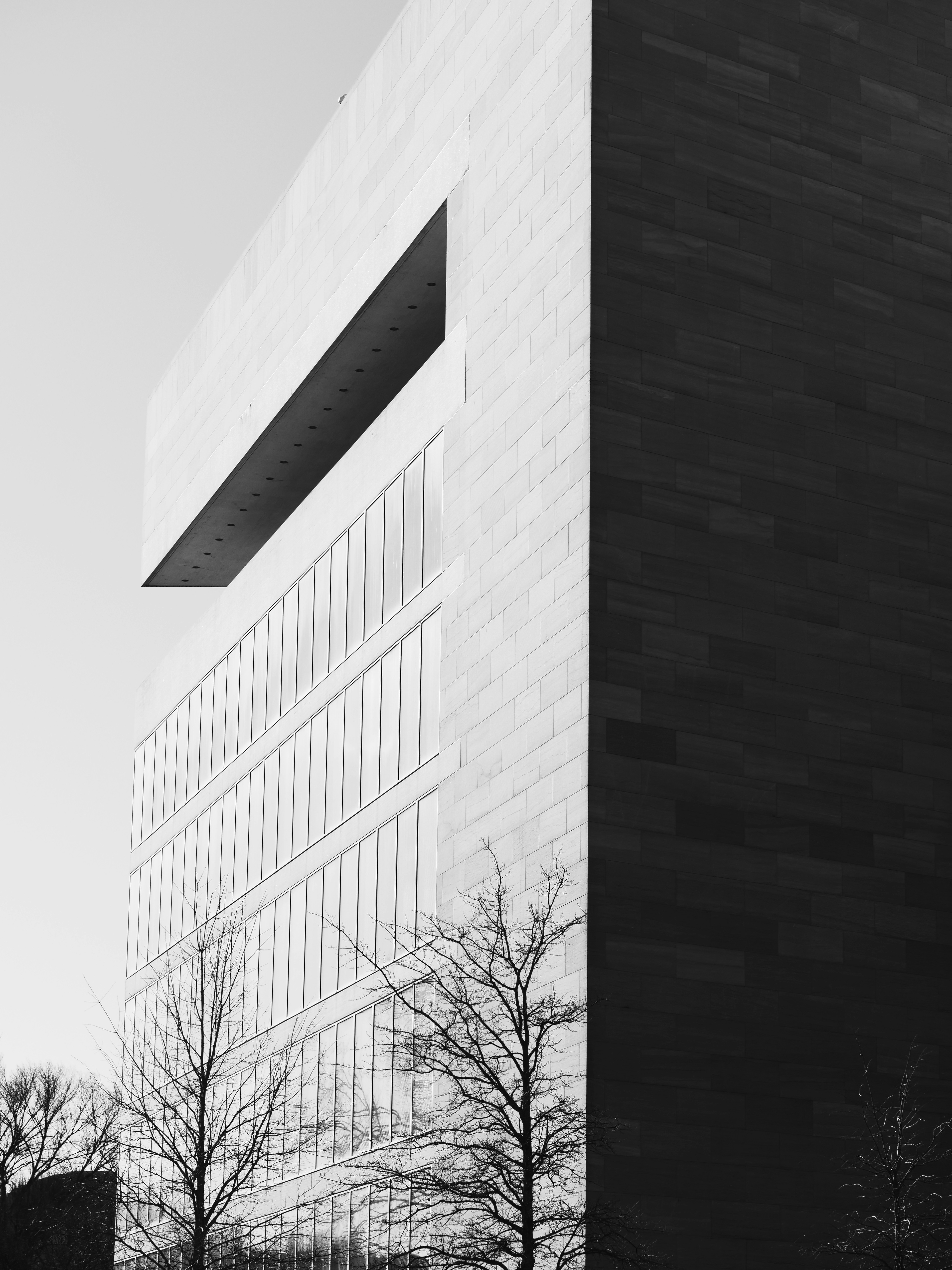 Photo by sschusterphotoart