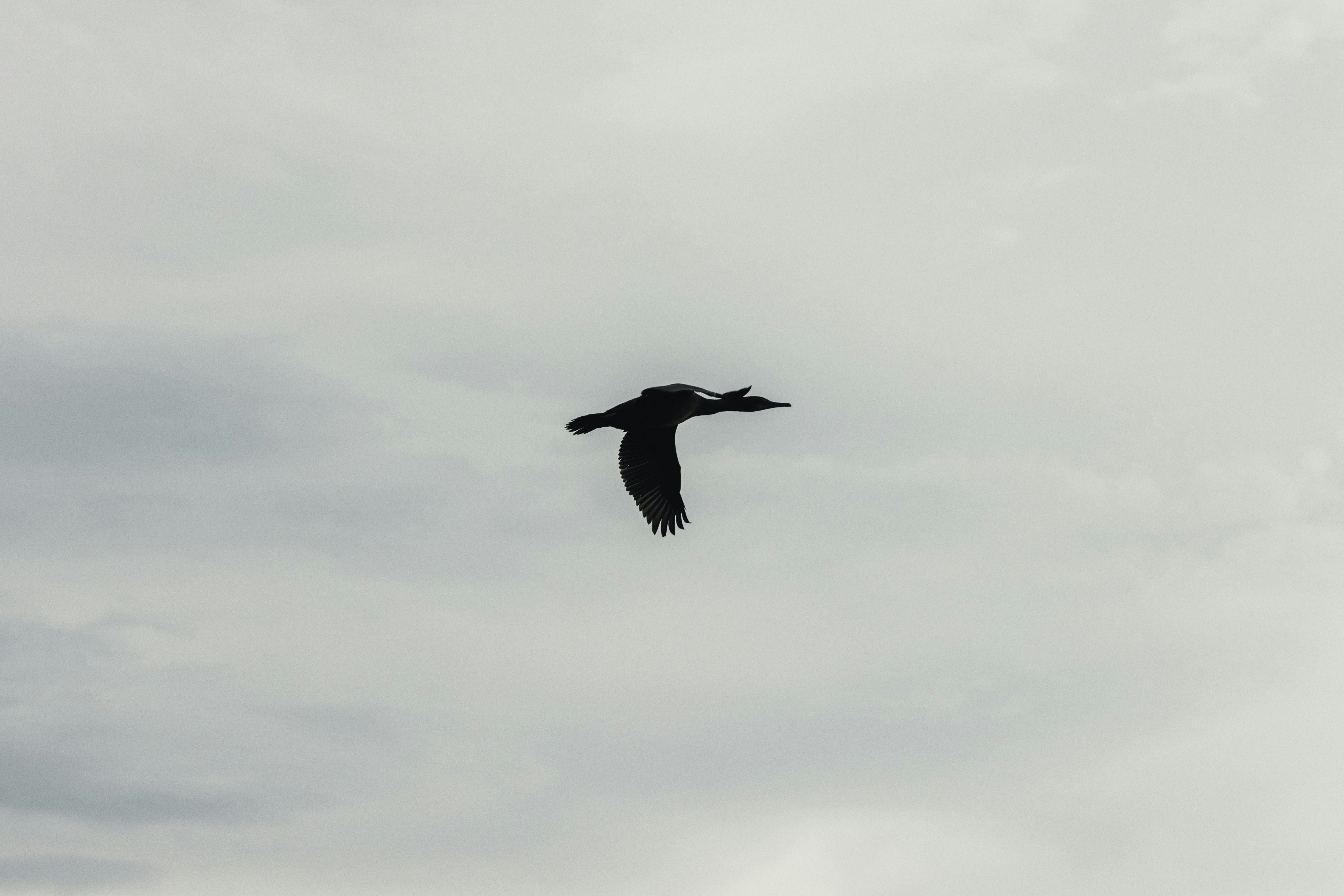 Photo by lureofadventure