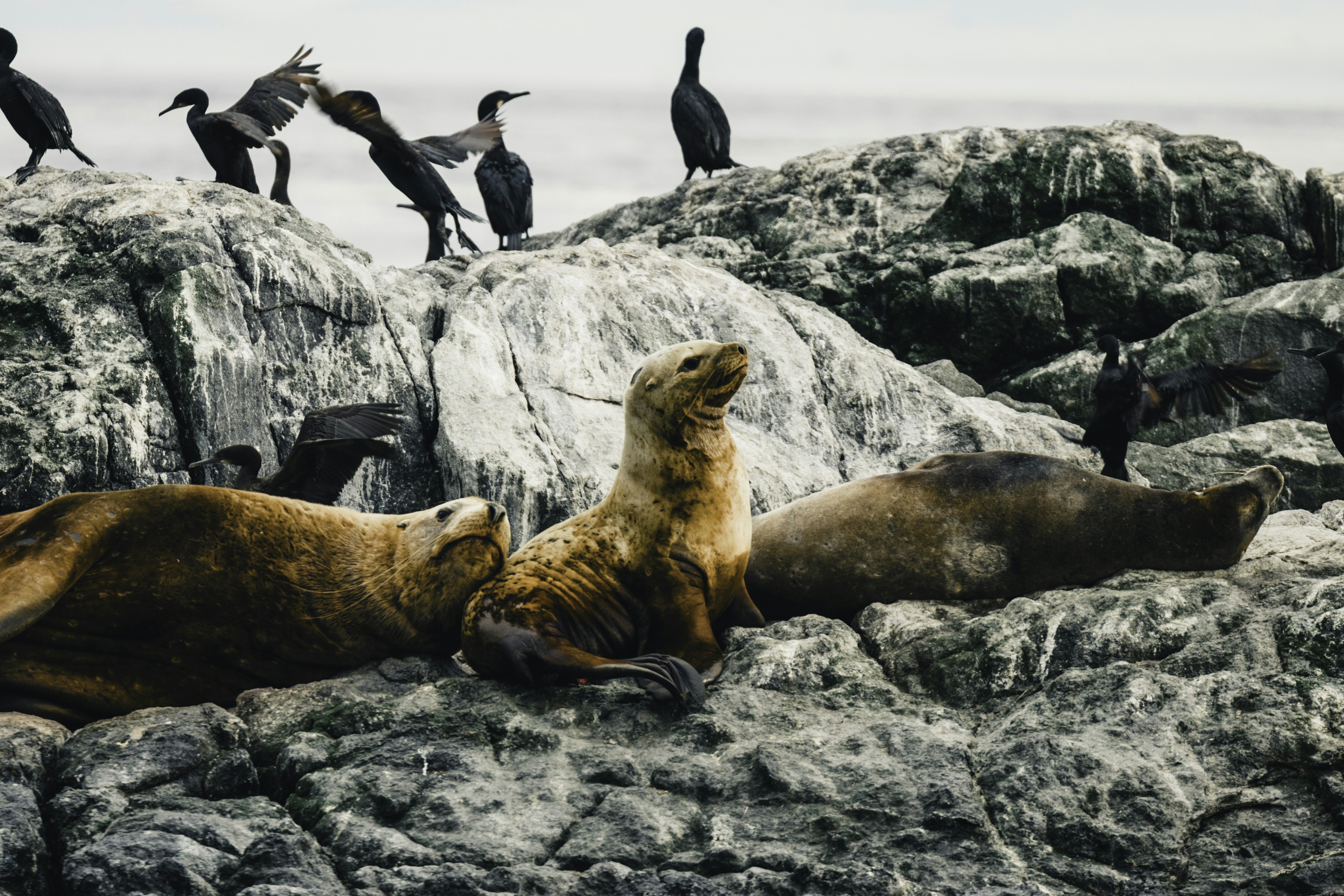 Photo by lureofadventure