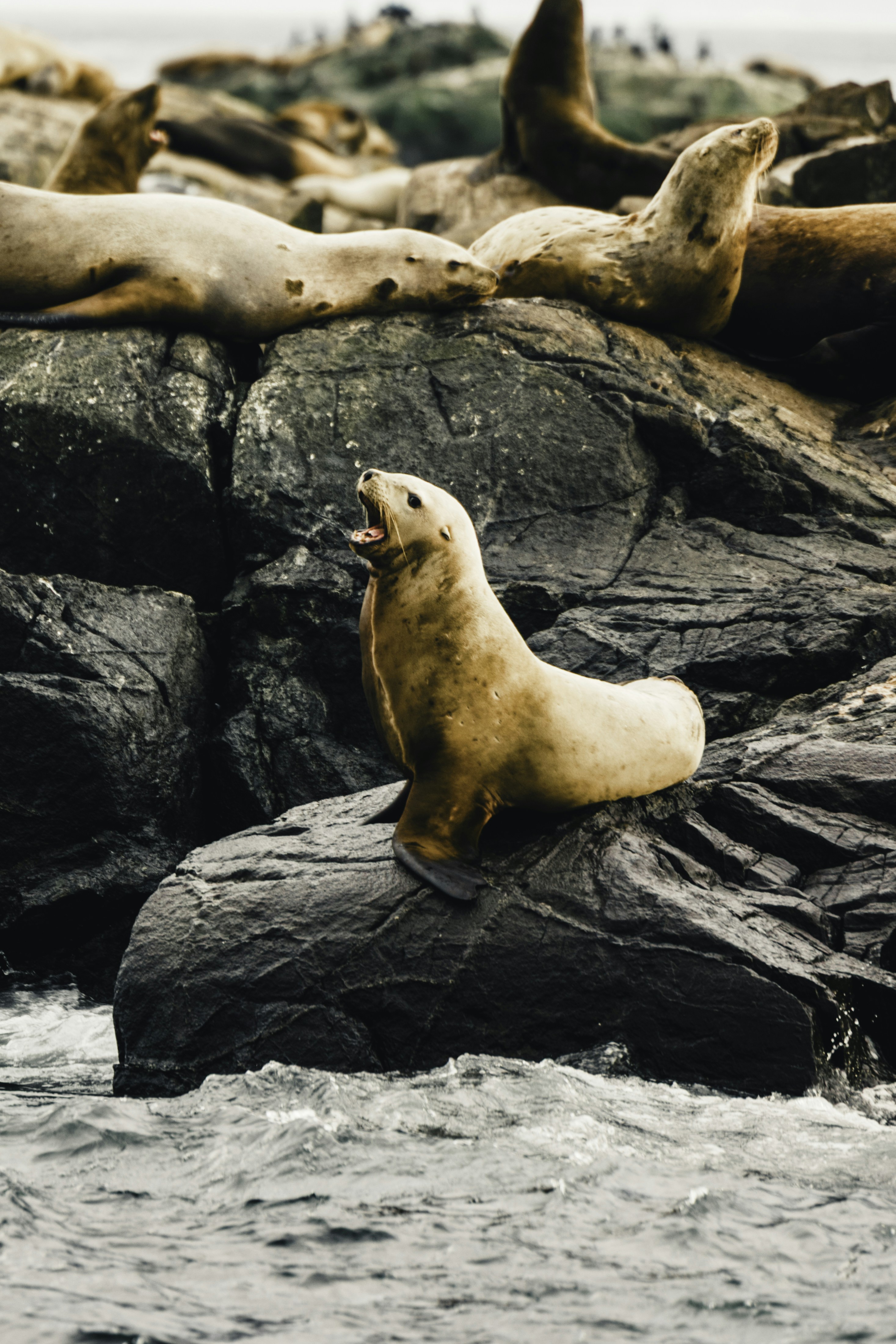 Photo by lureofadventure