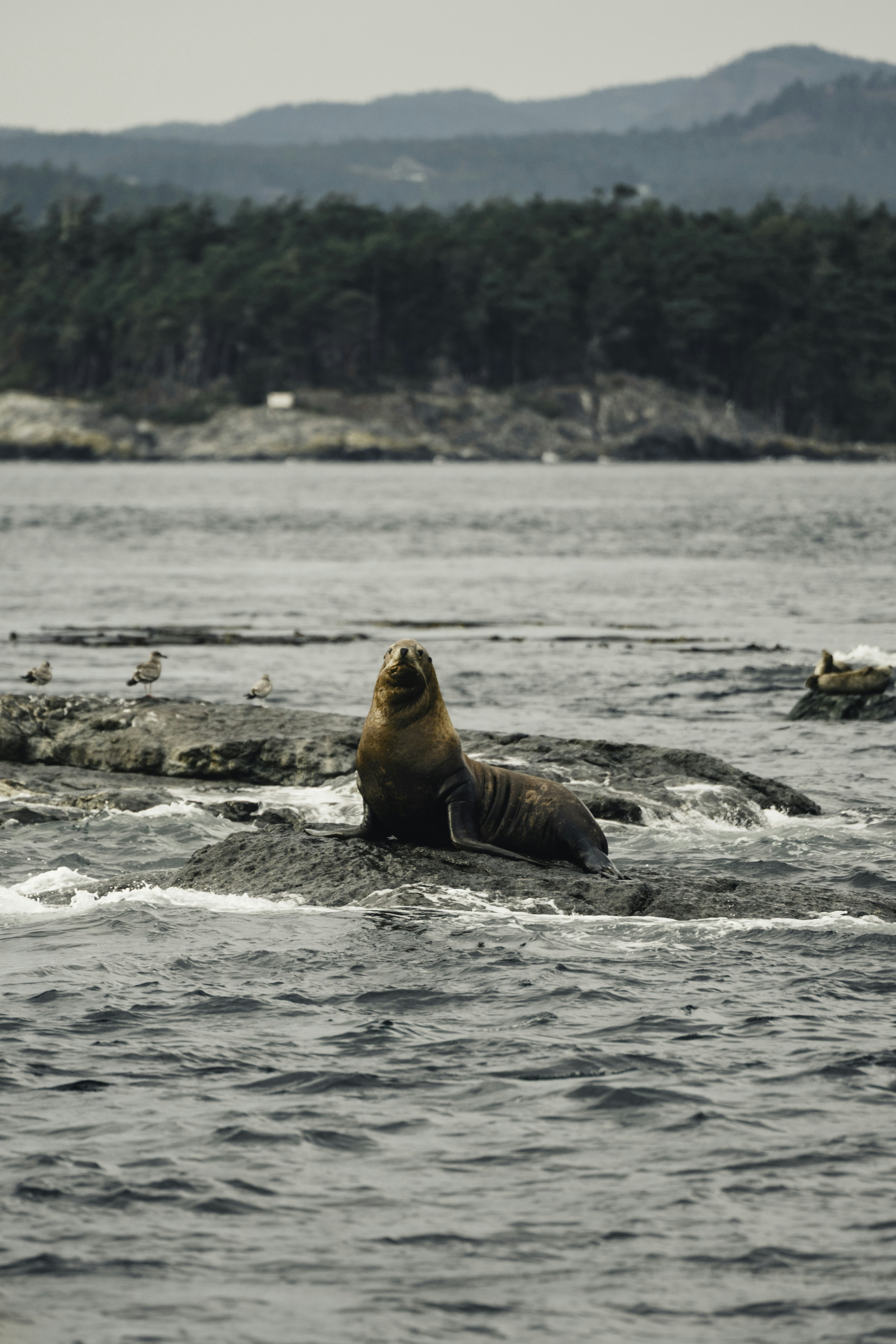 Photo by lureofadventure