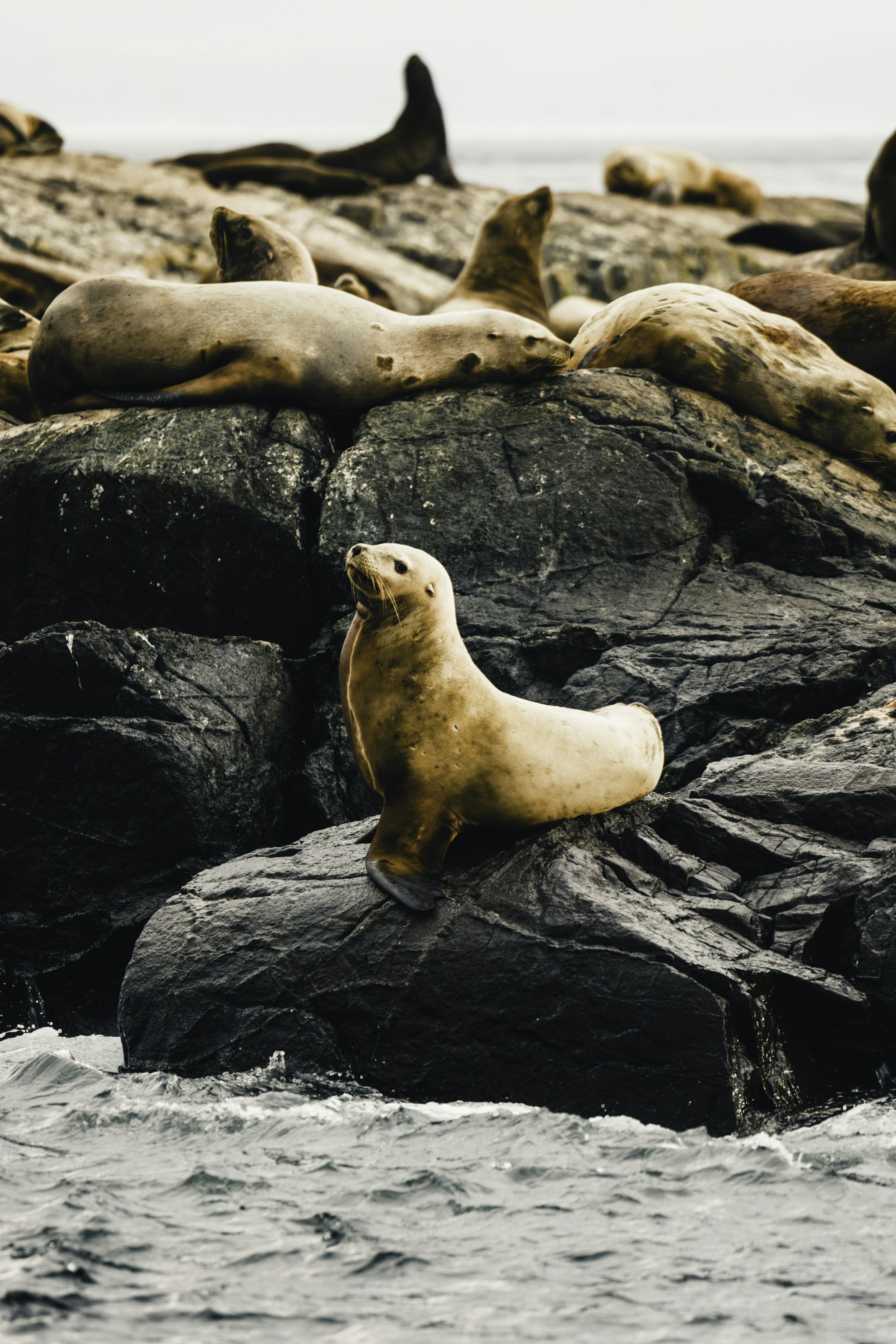 Photo by lureofadventure