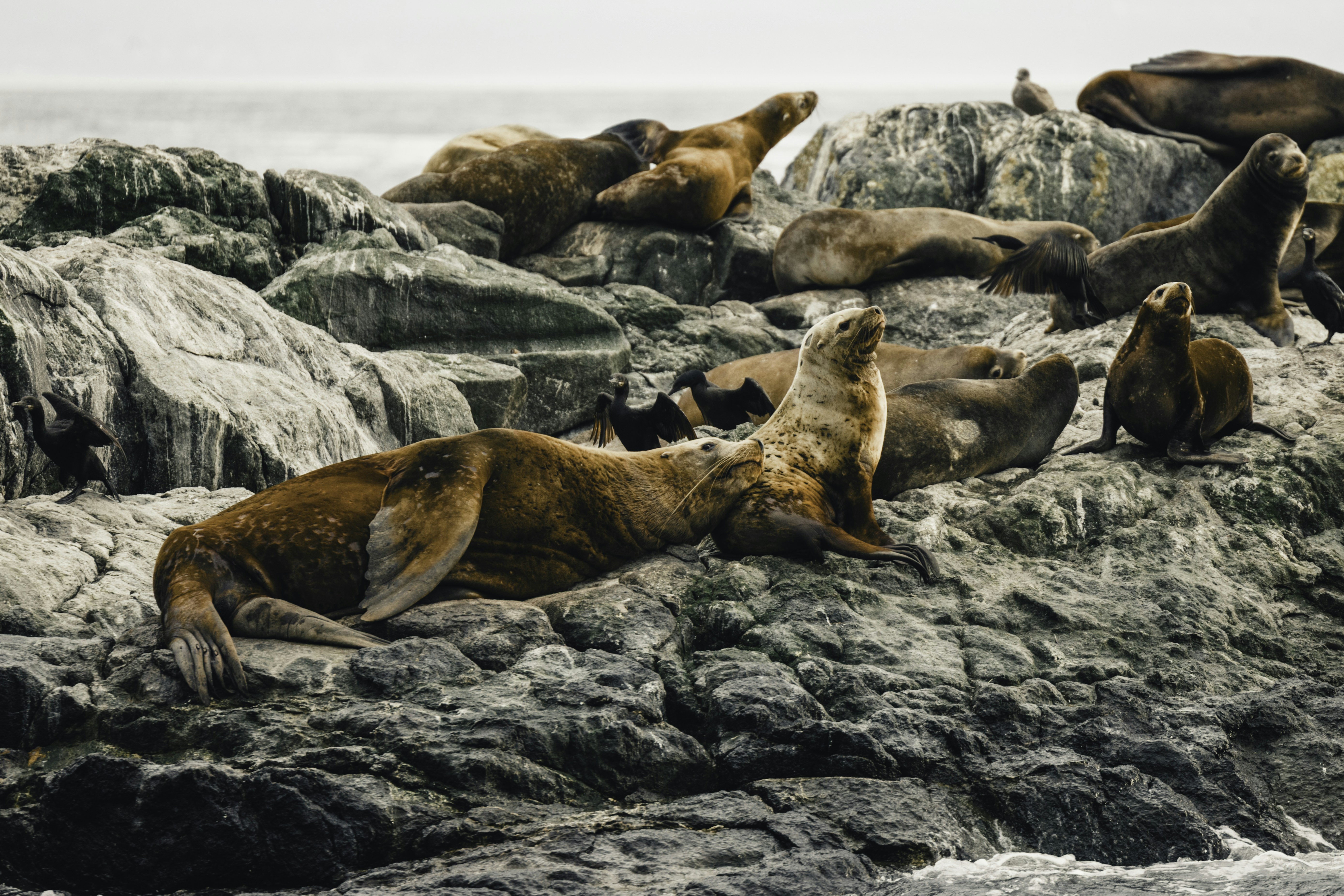 Photo by lureofadventure