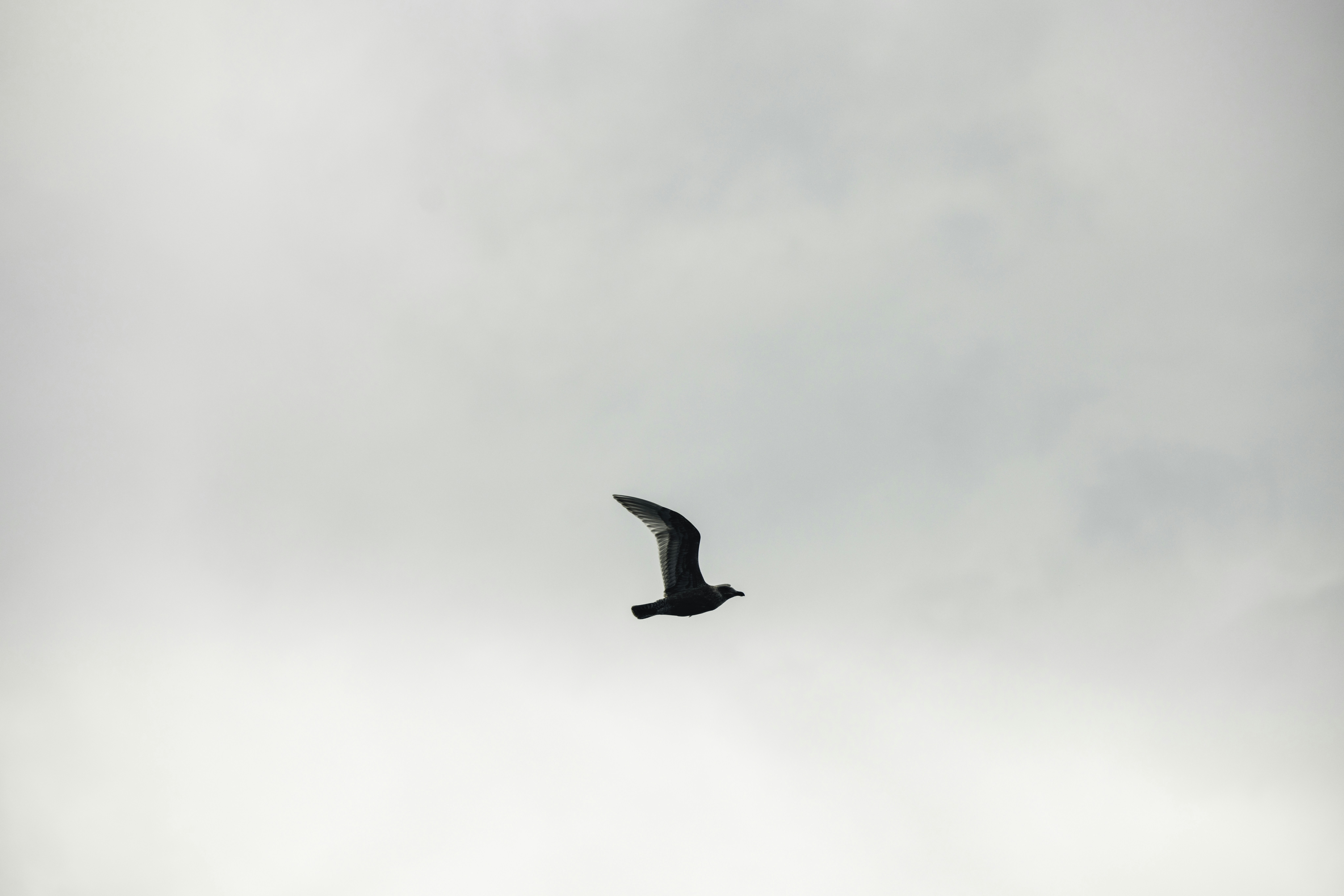 Photo by lureofadventure