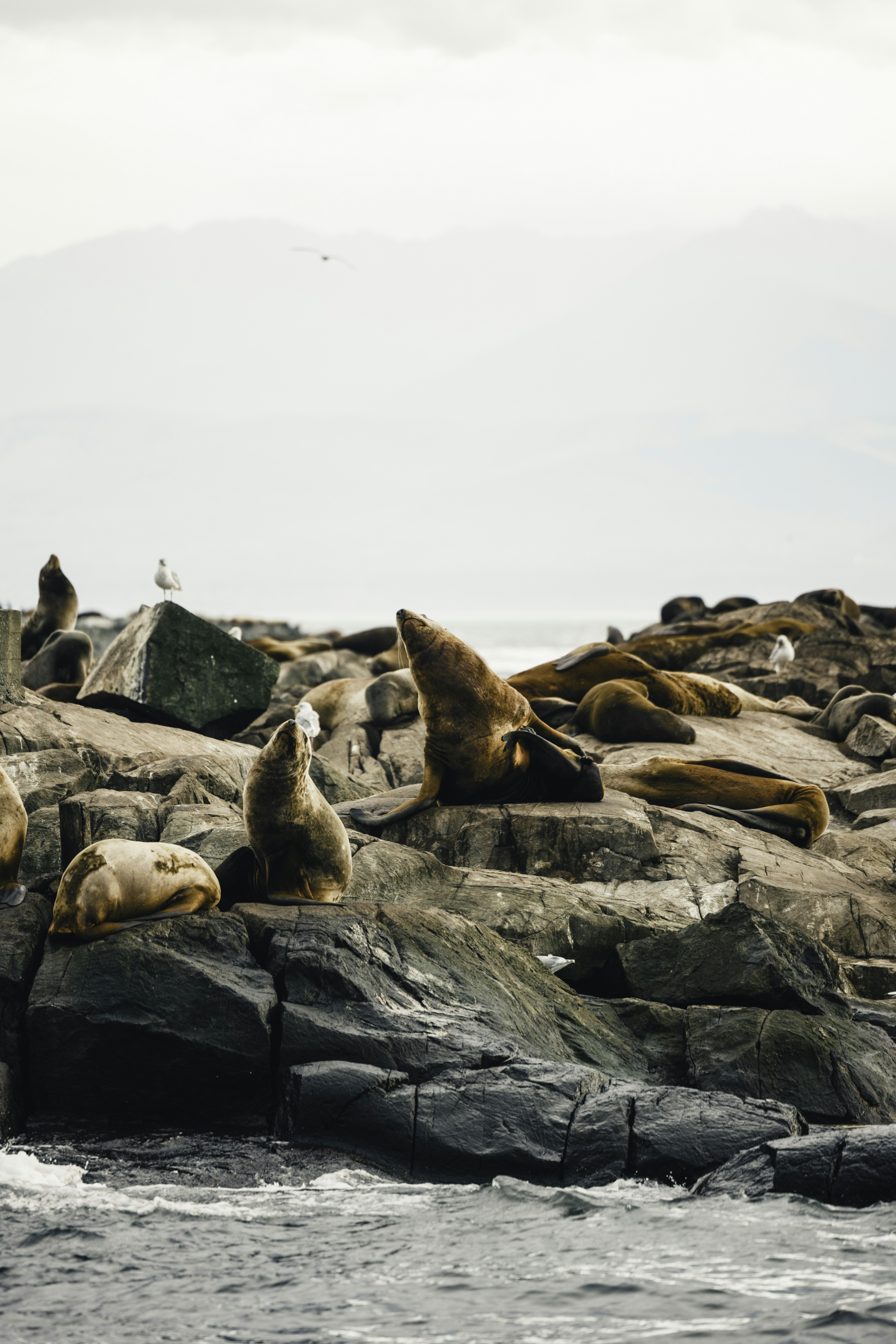 Photo by lureofadventure