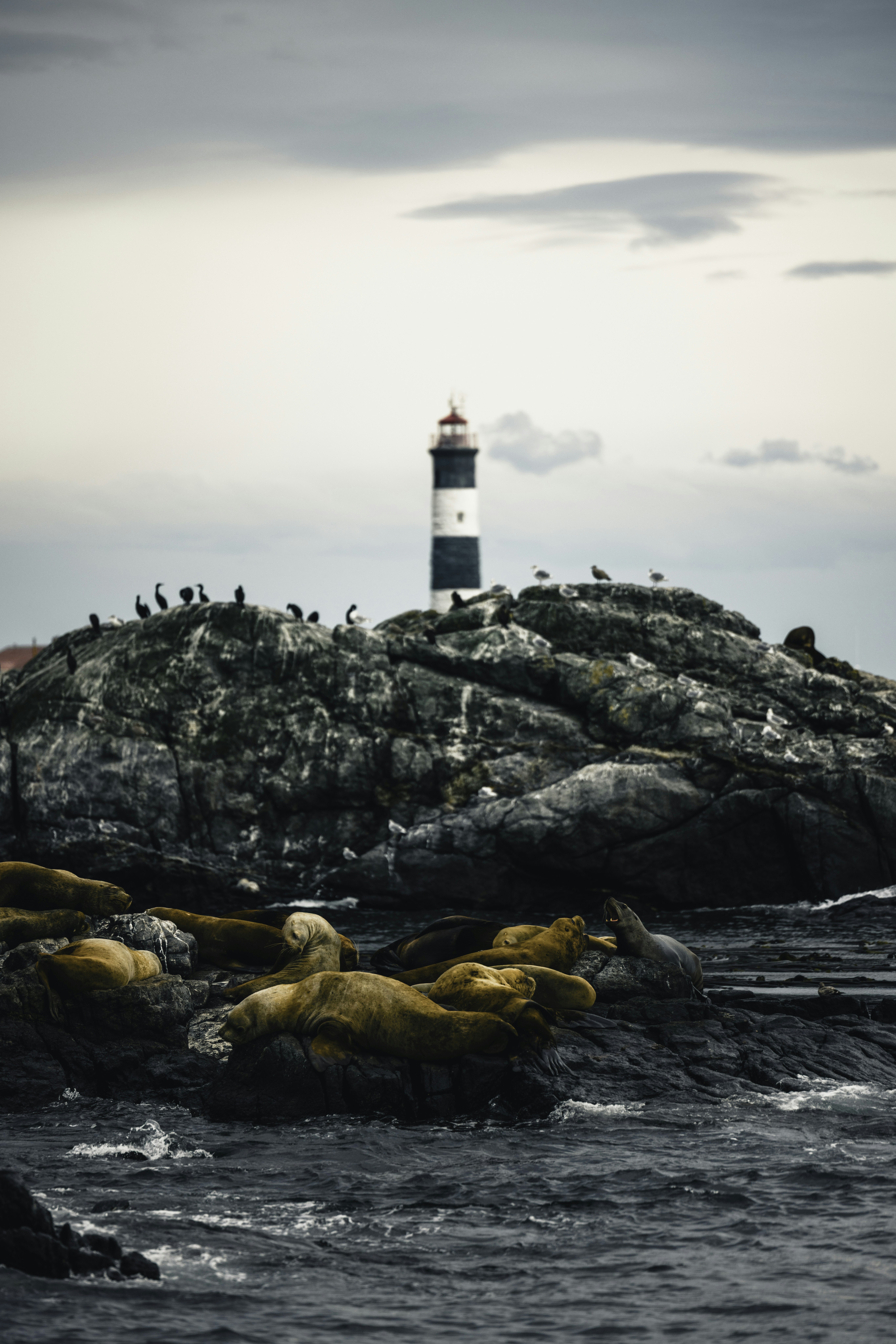 Photo by lureofadventure