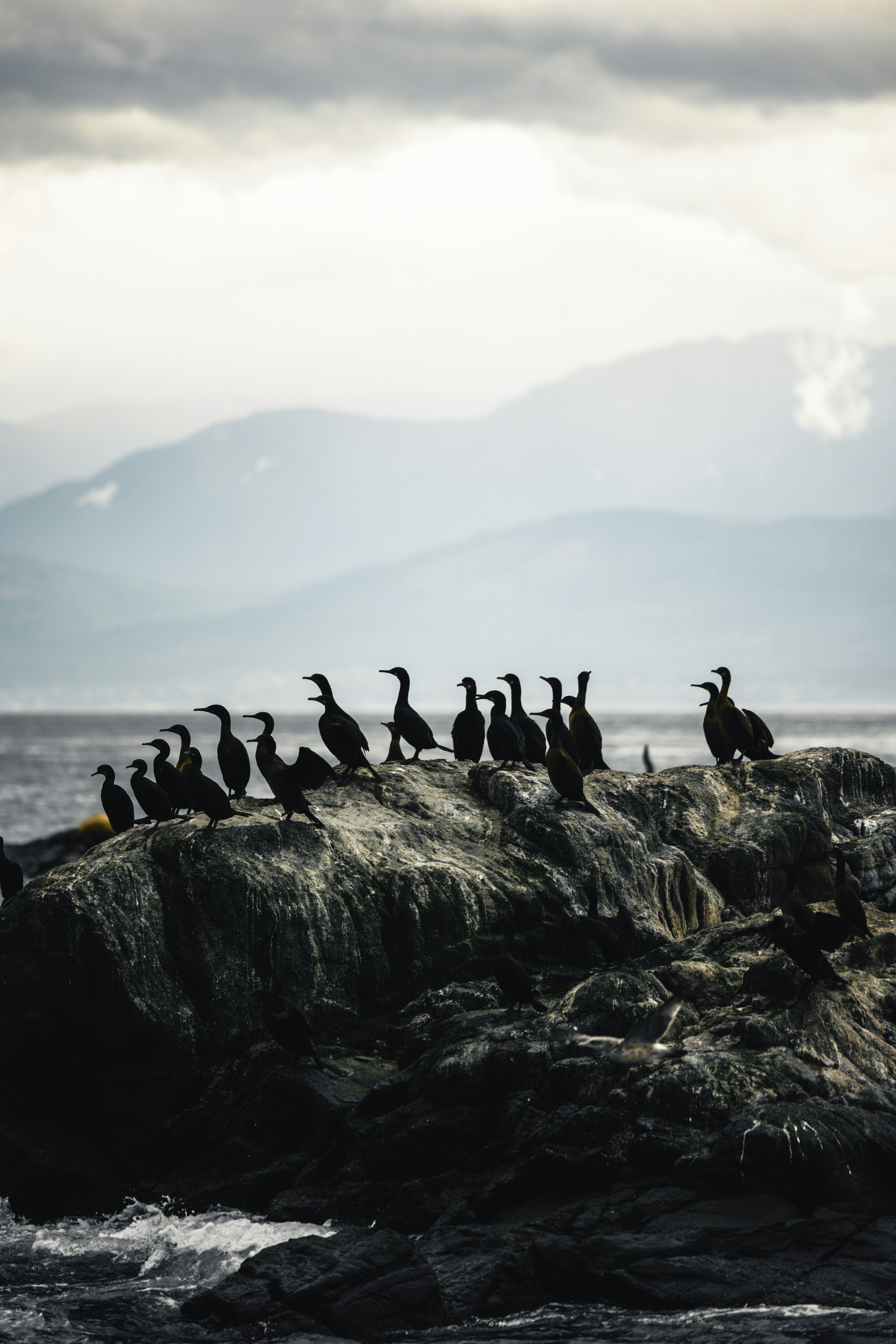 Photo by lureofadventure