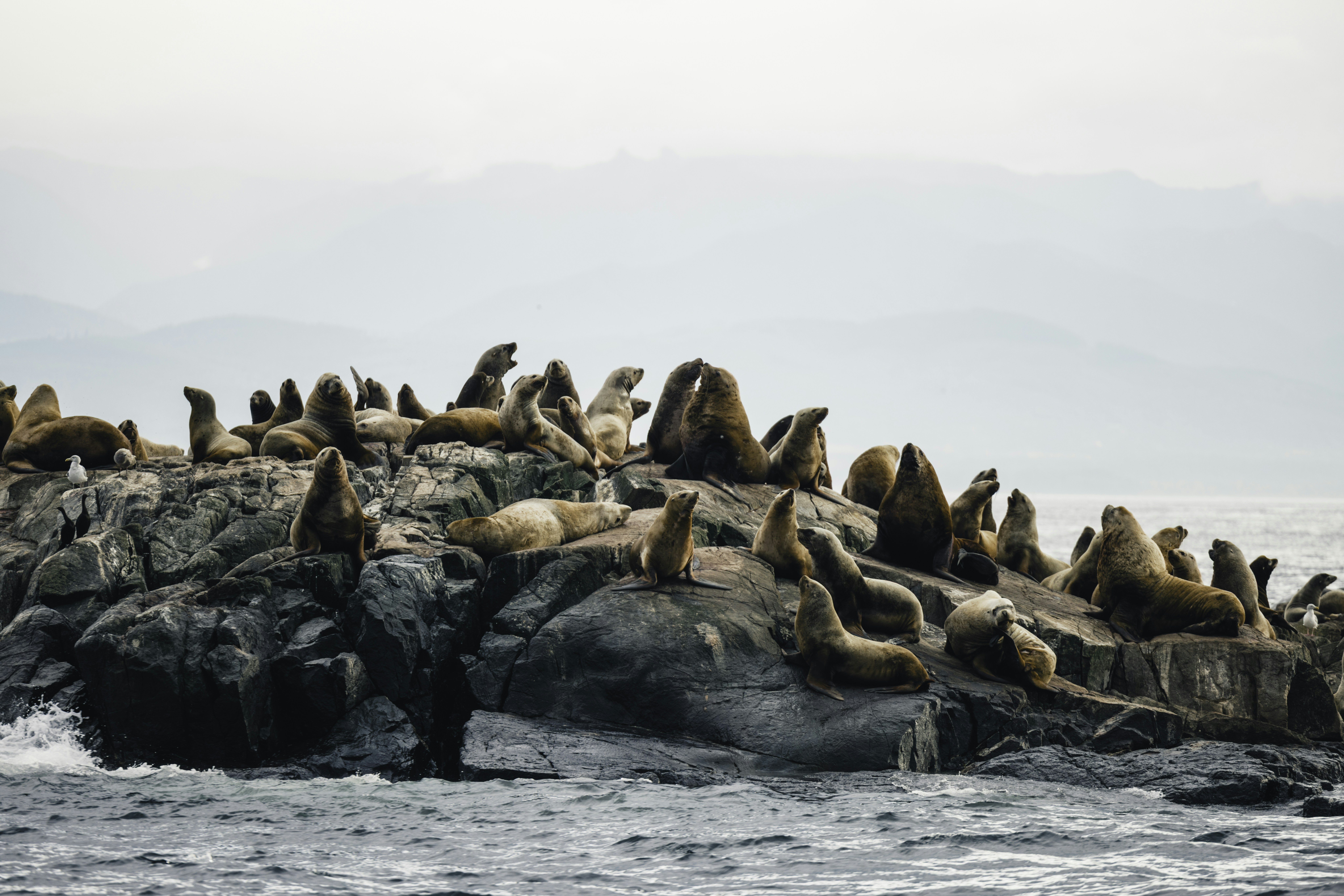 Photo by lureofadventure