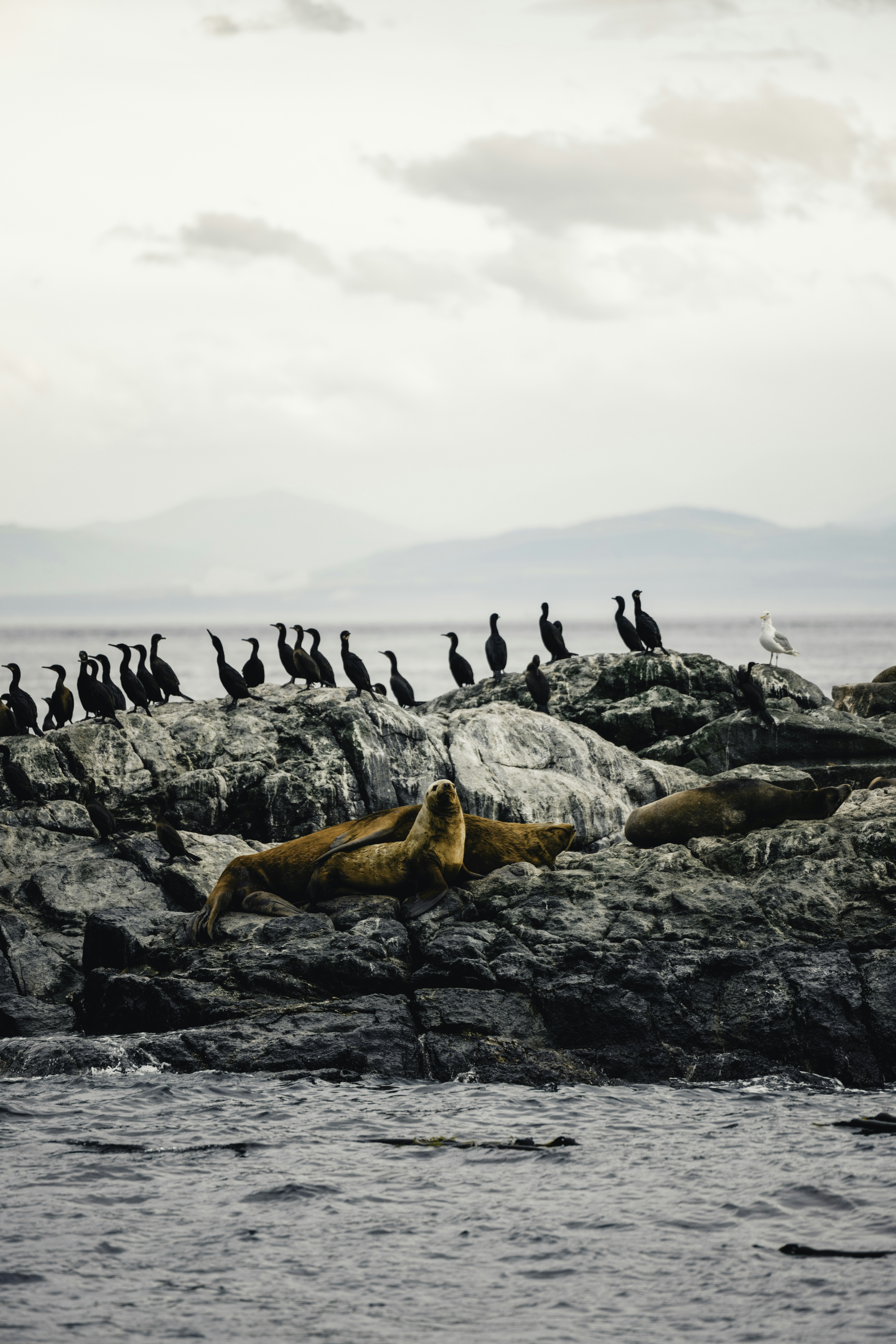 Photo by lureofadventure