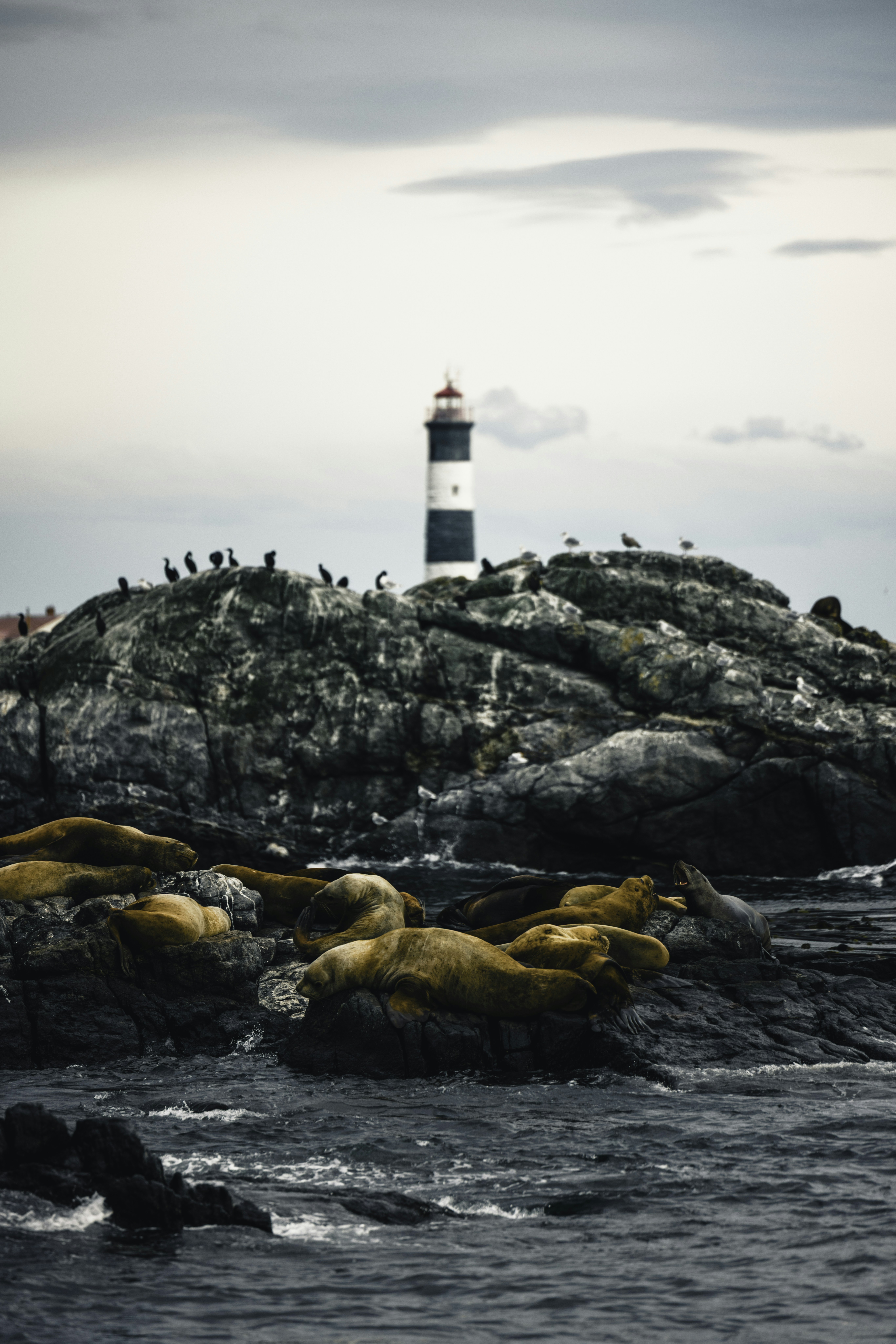 Photo by lureofadventure