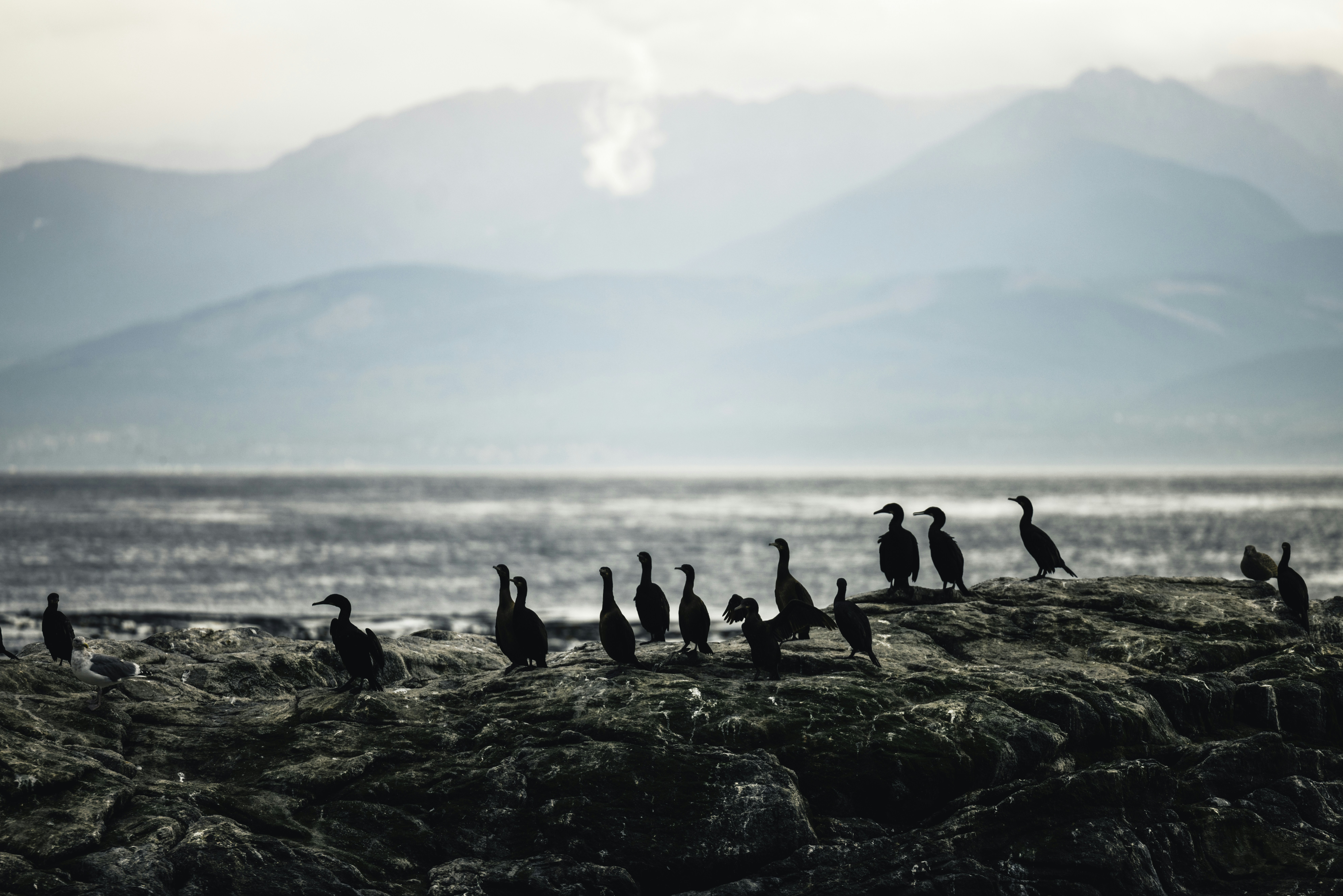 Photo by lureofadventure