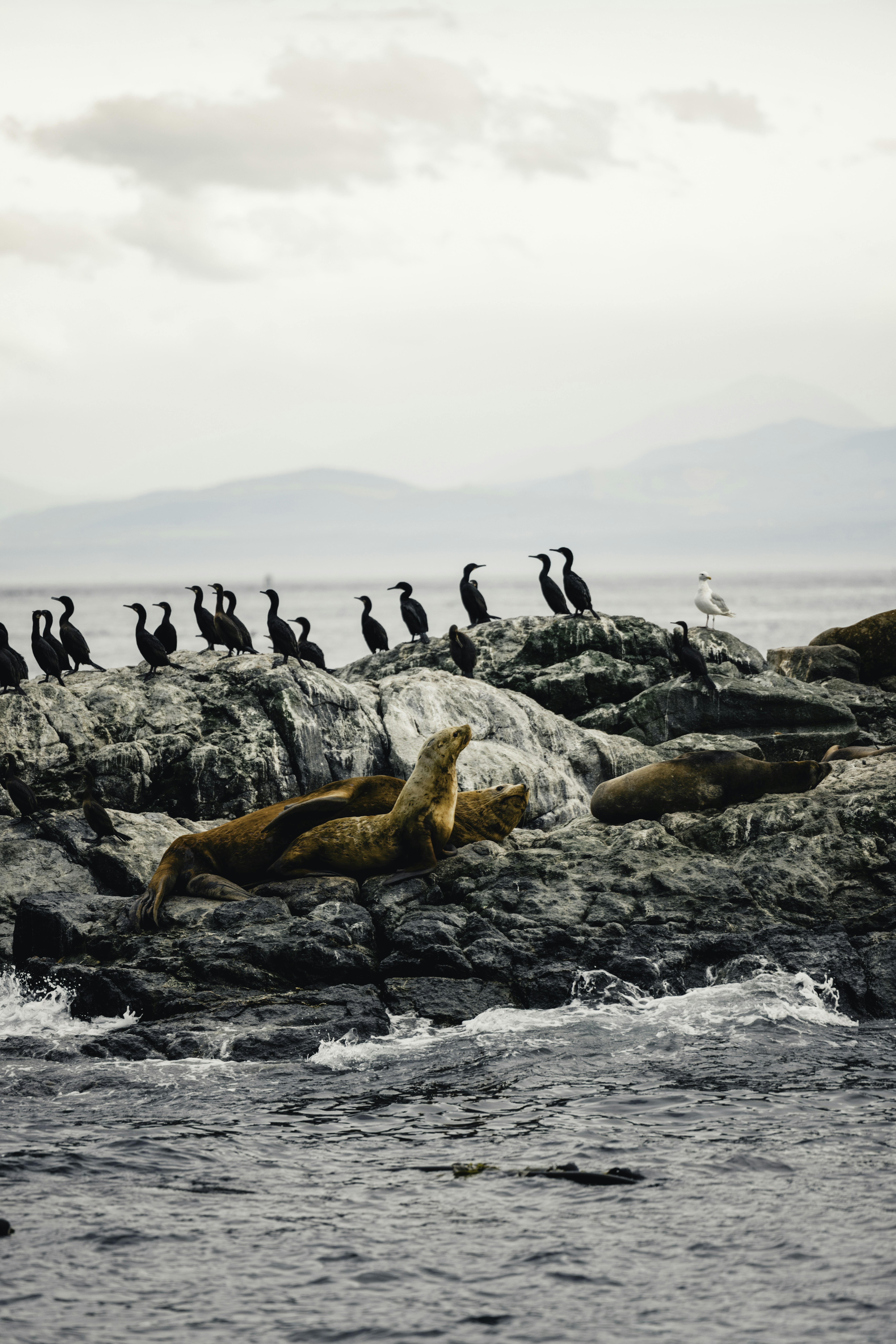 Photo by lureofadventure