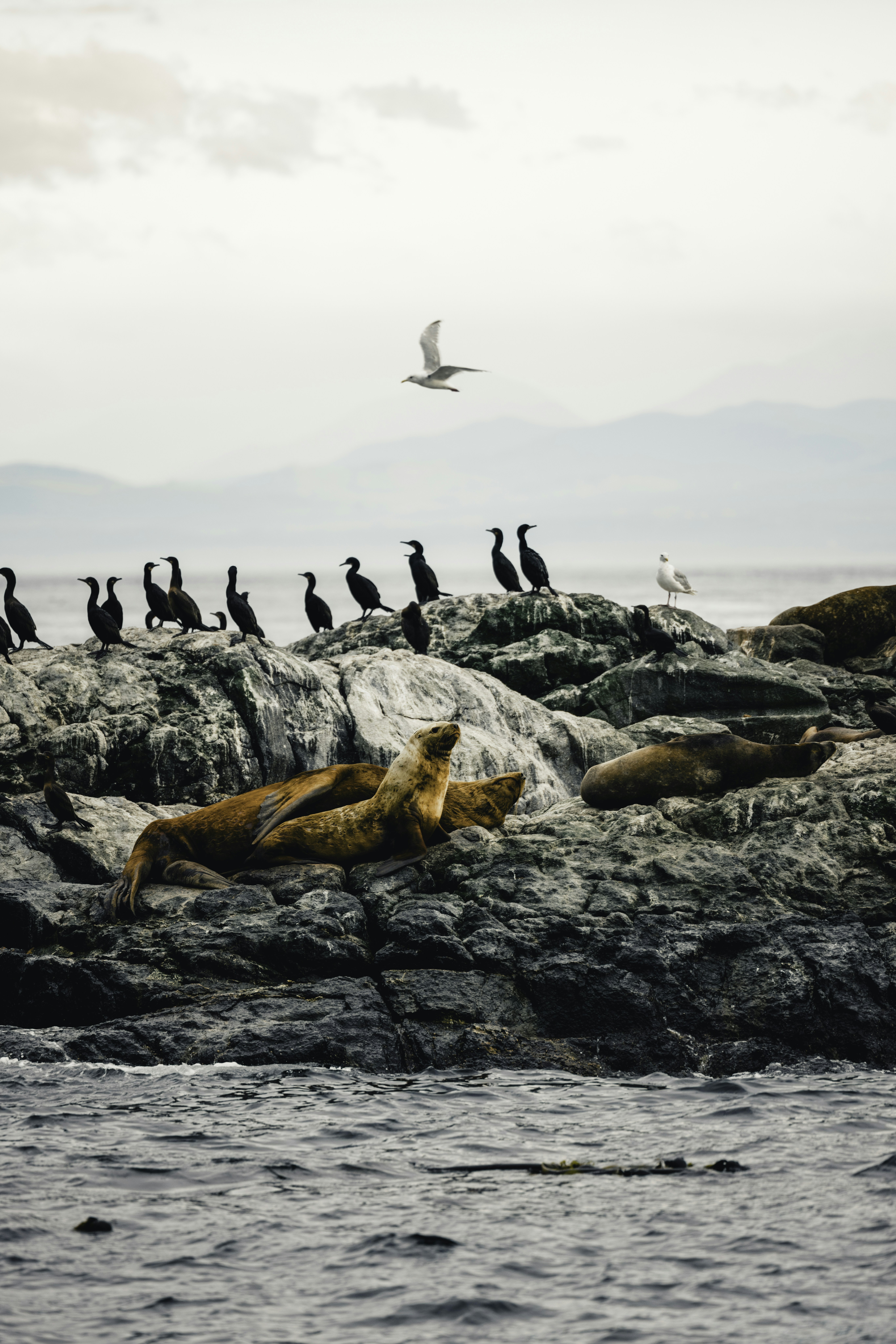 Photo by lureofadventure