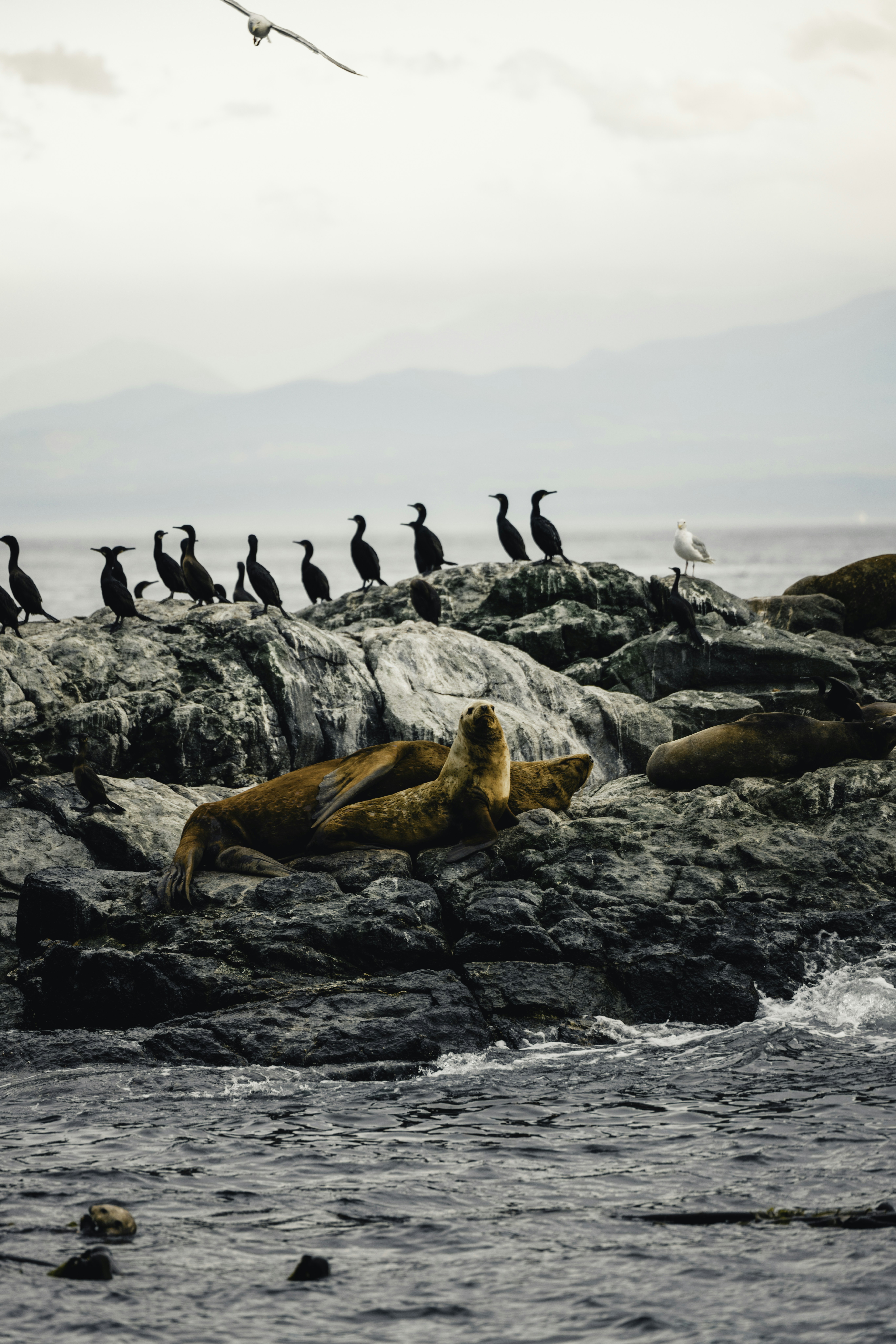 Photo by lureofadventure