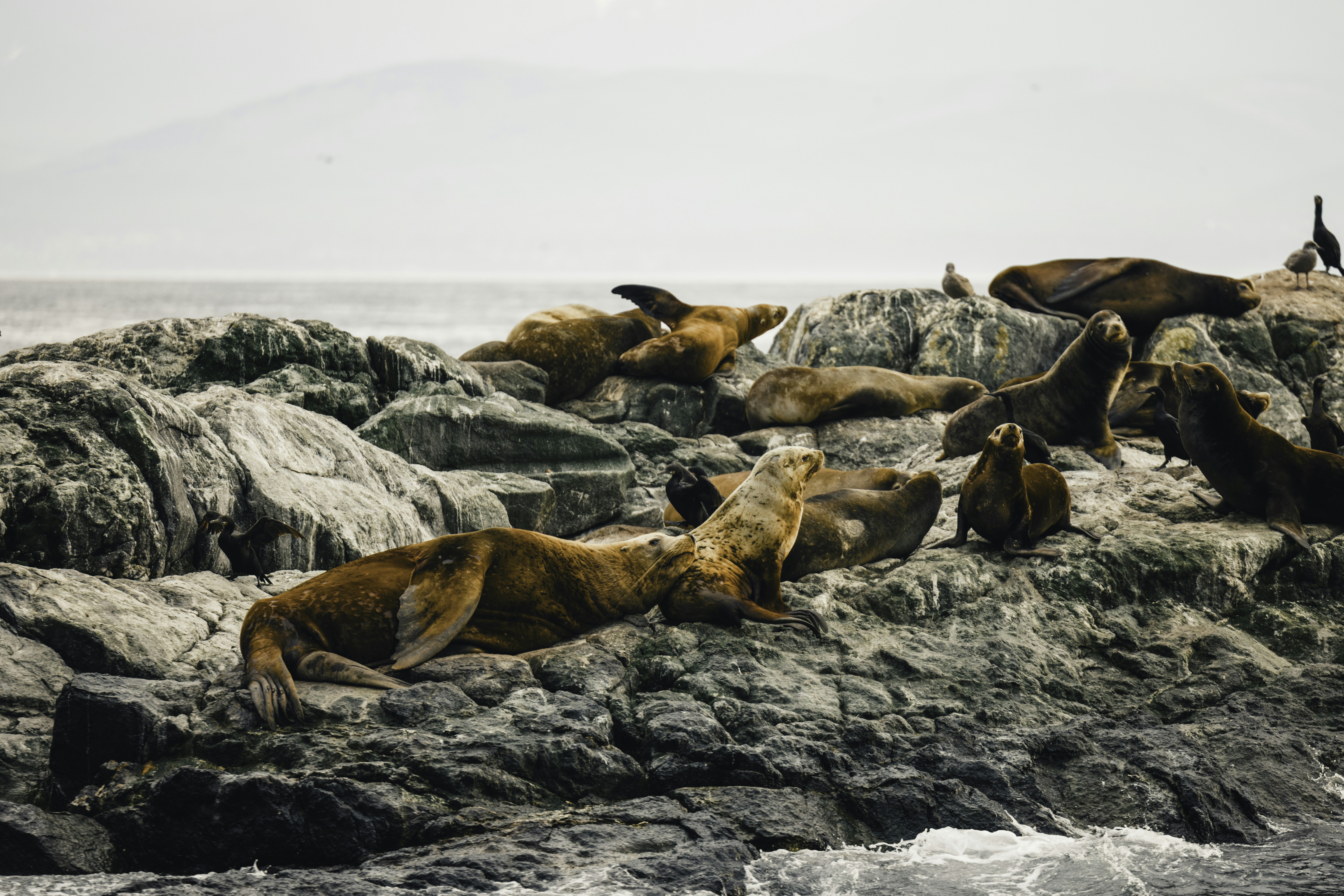 Photo by lureofadventure