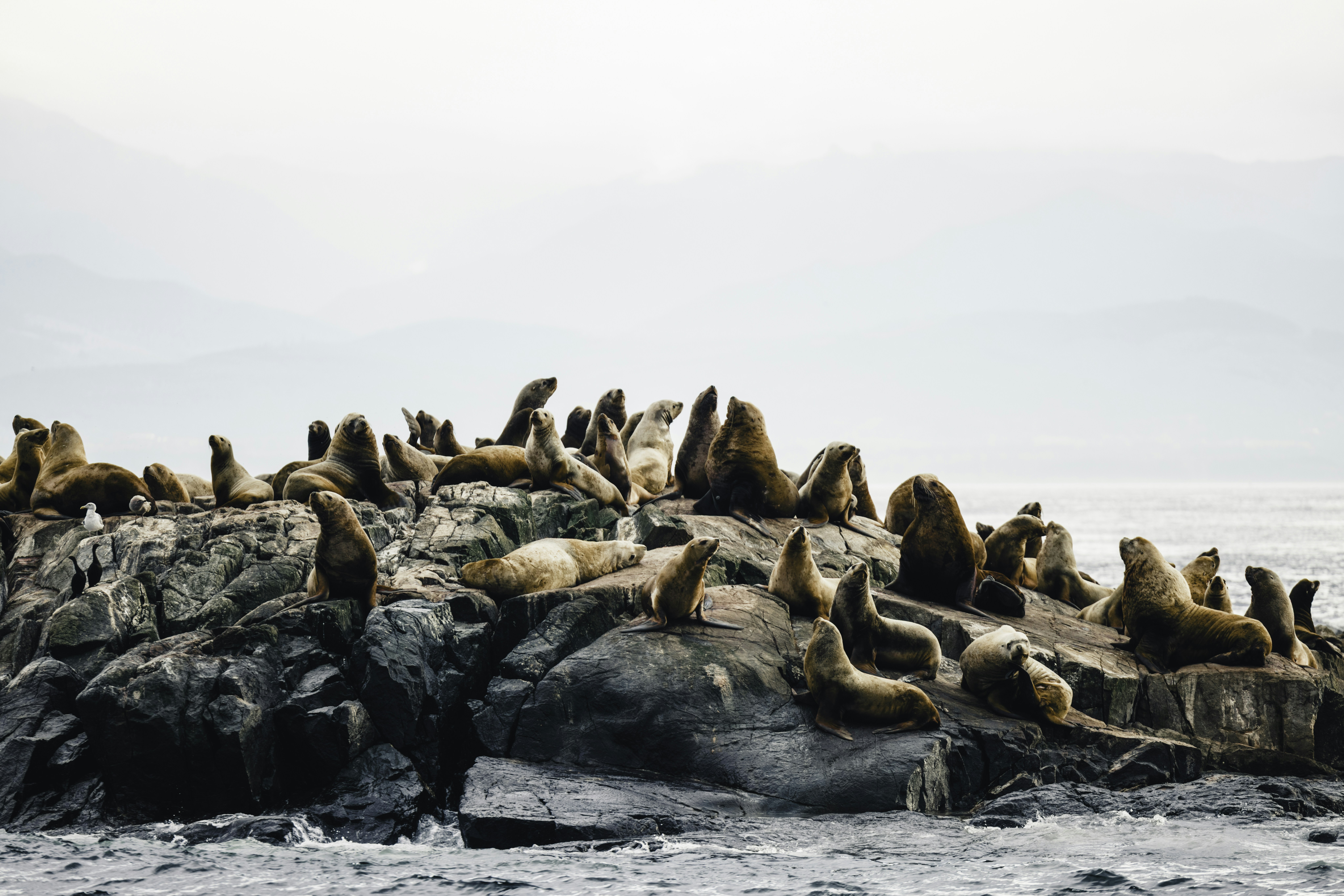 Photo by lureofadventure