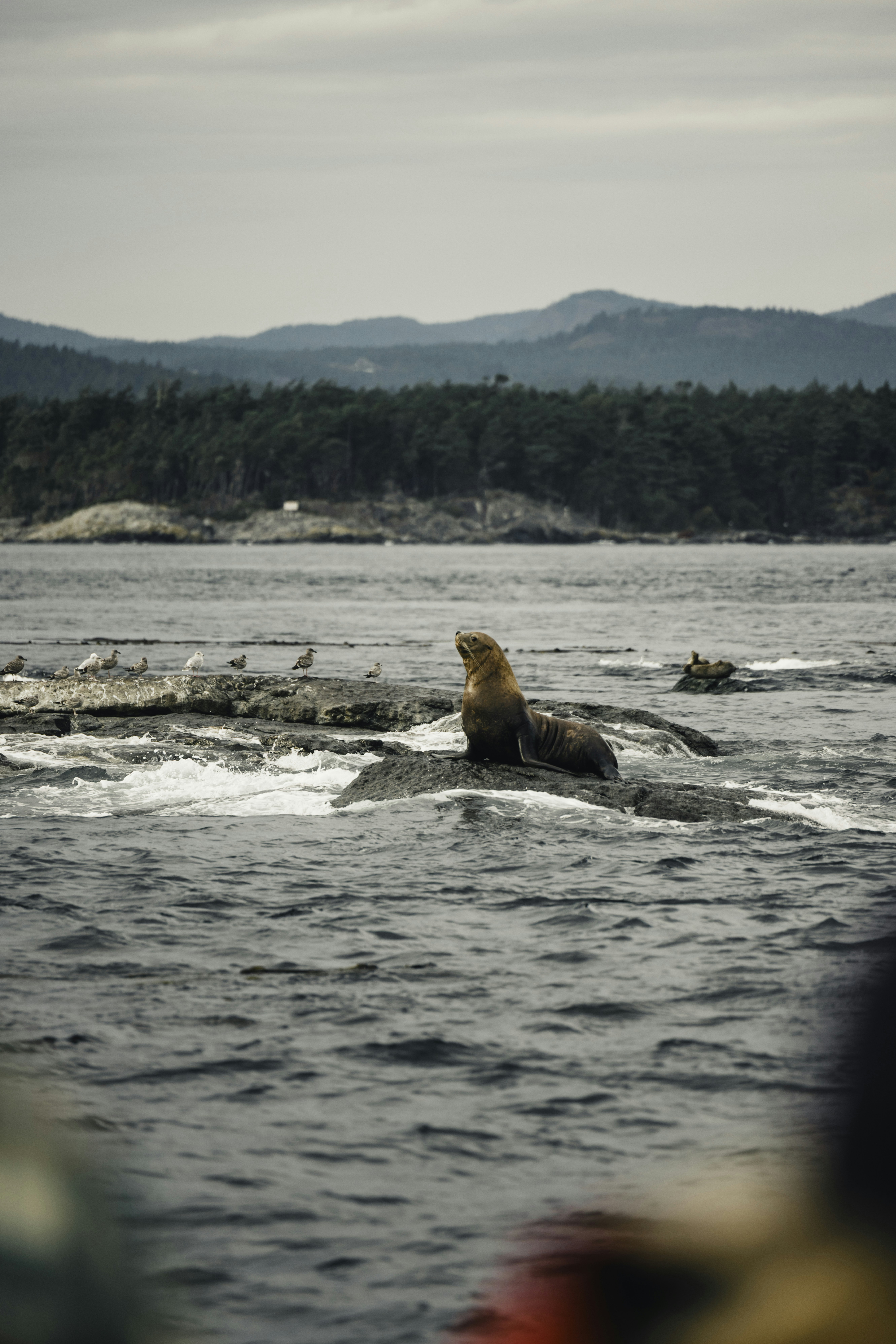 British Columbia Coast