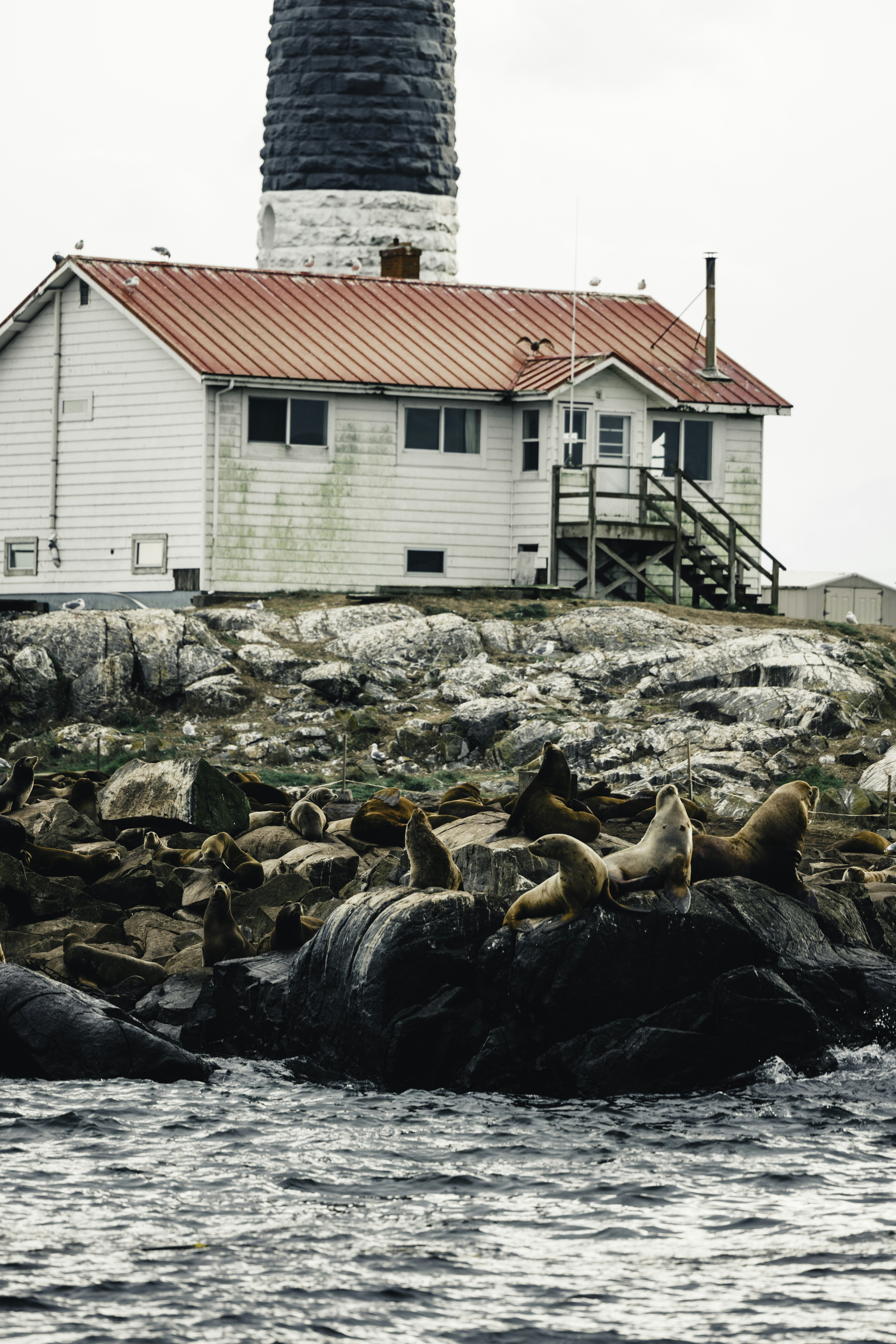 Essential Gear for Remote Island Conditions