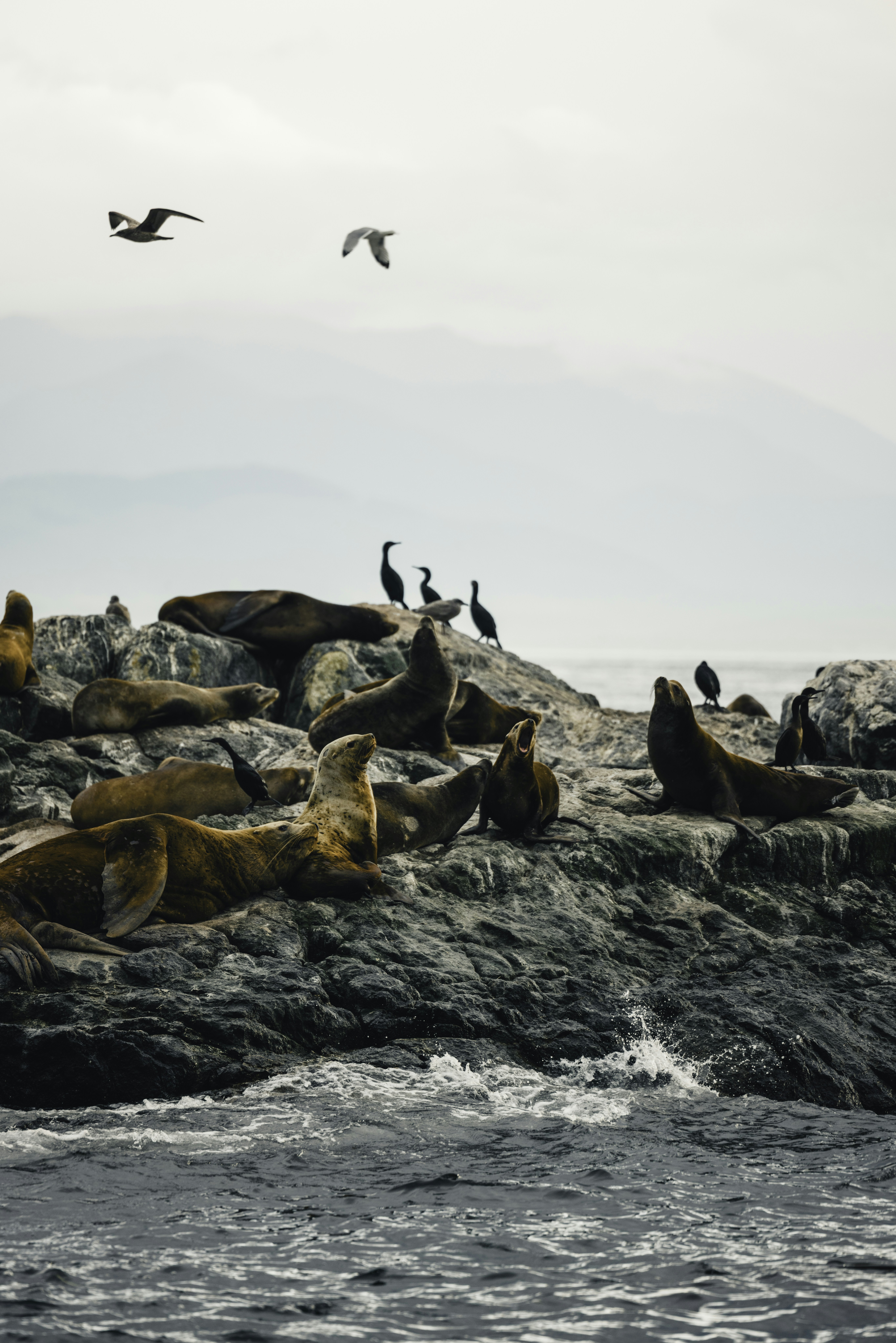 Photo by lureofadventure