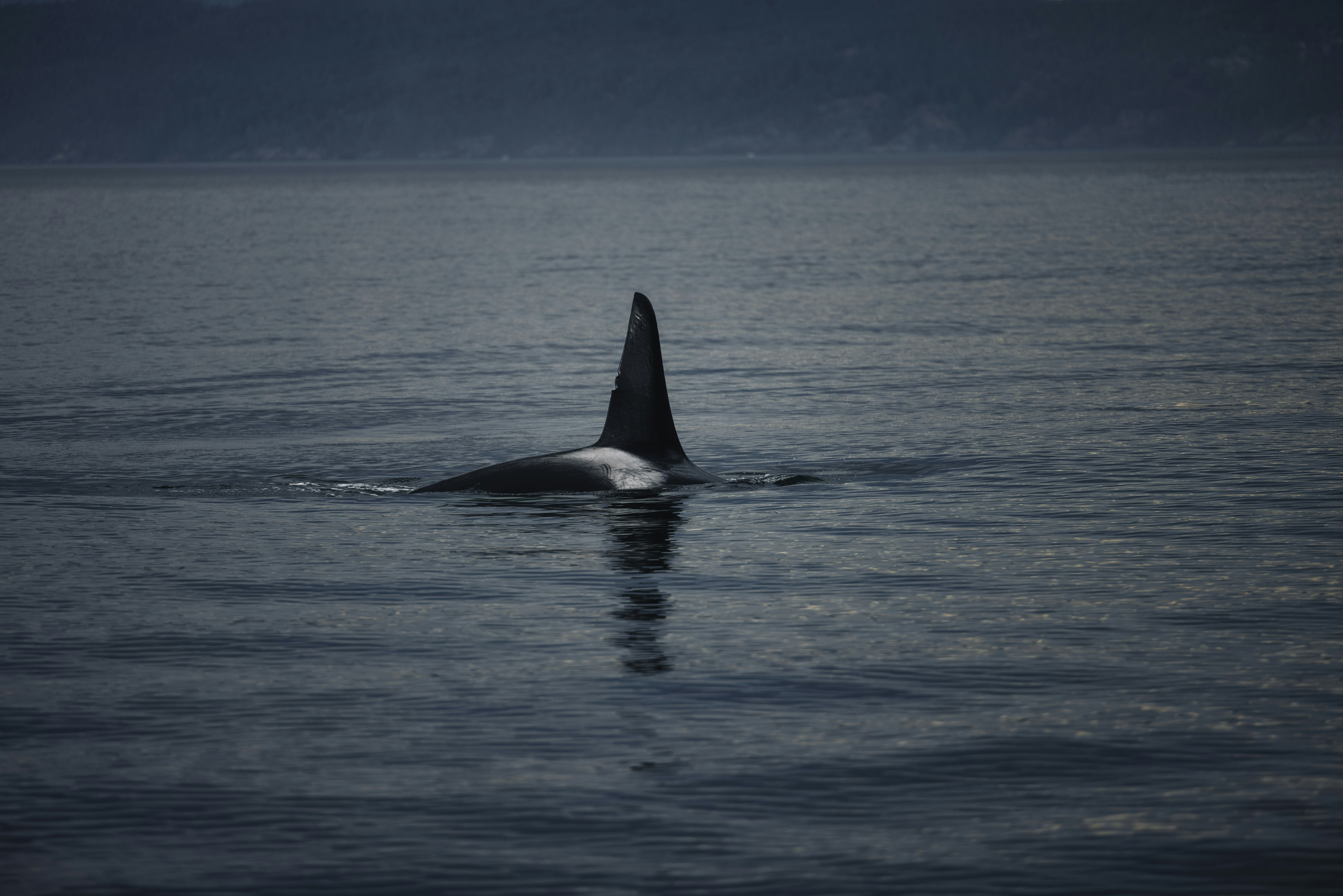 Photo by lureofadventure