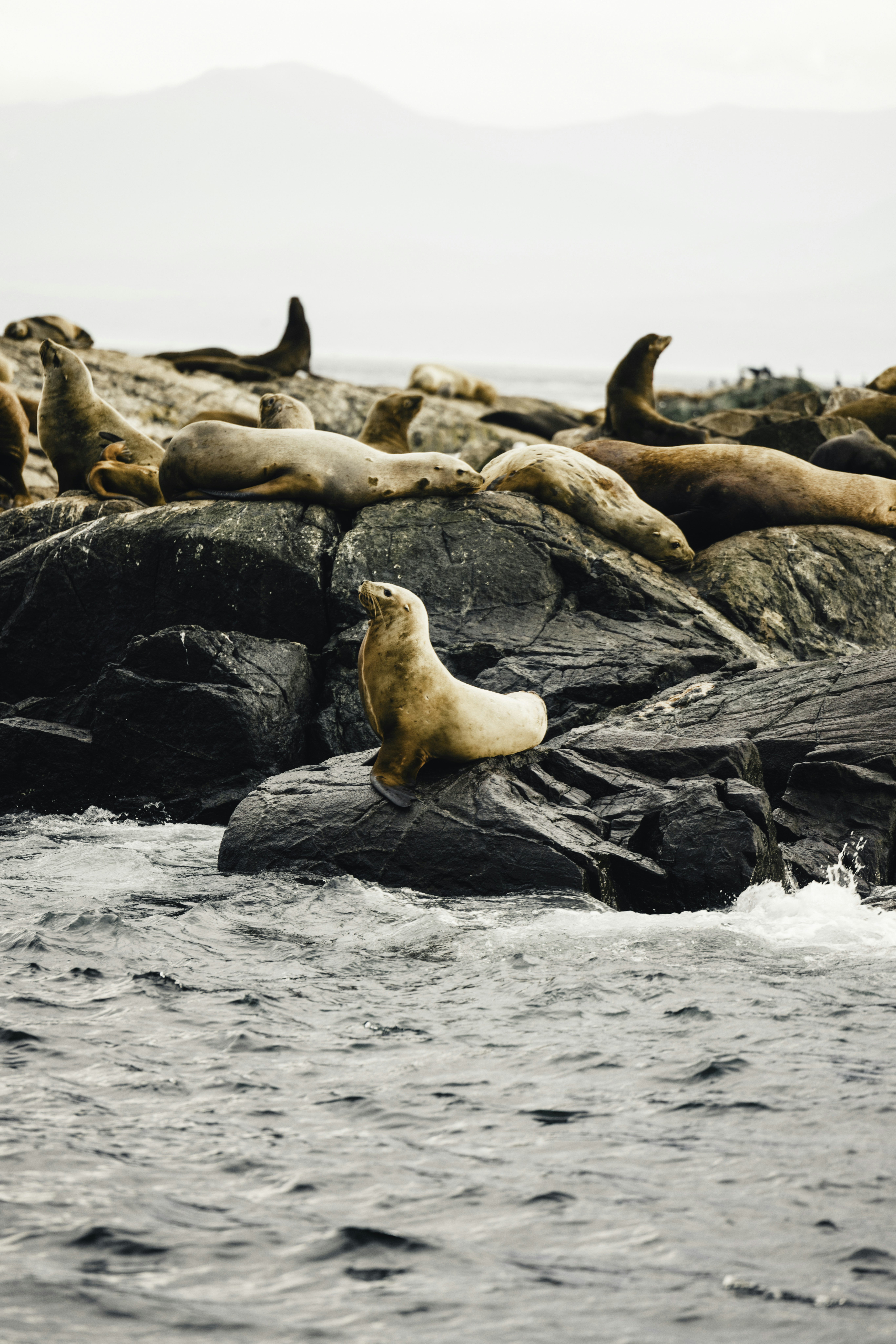 Photo by lureofadventure