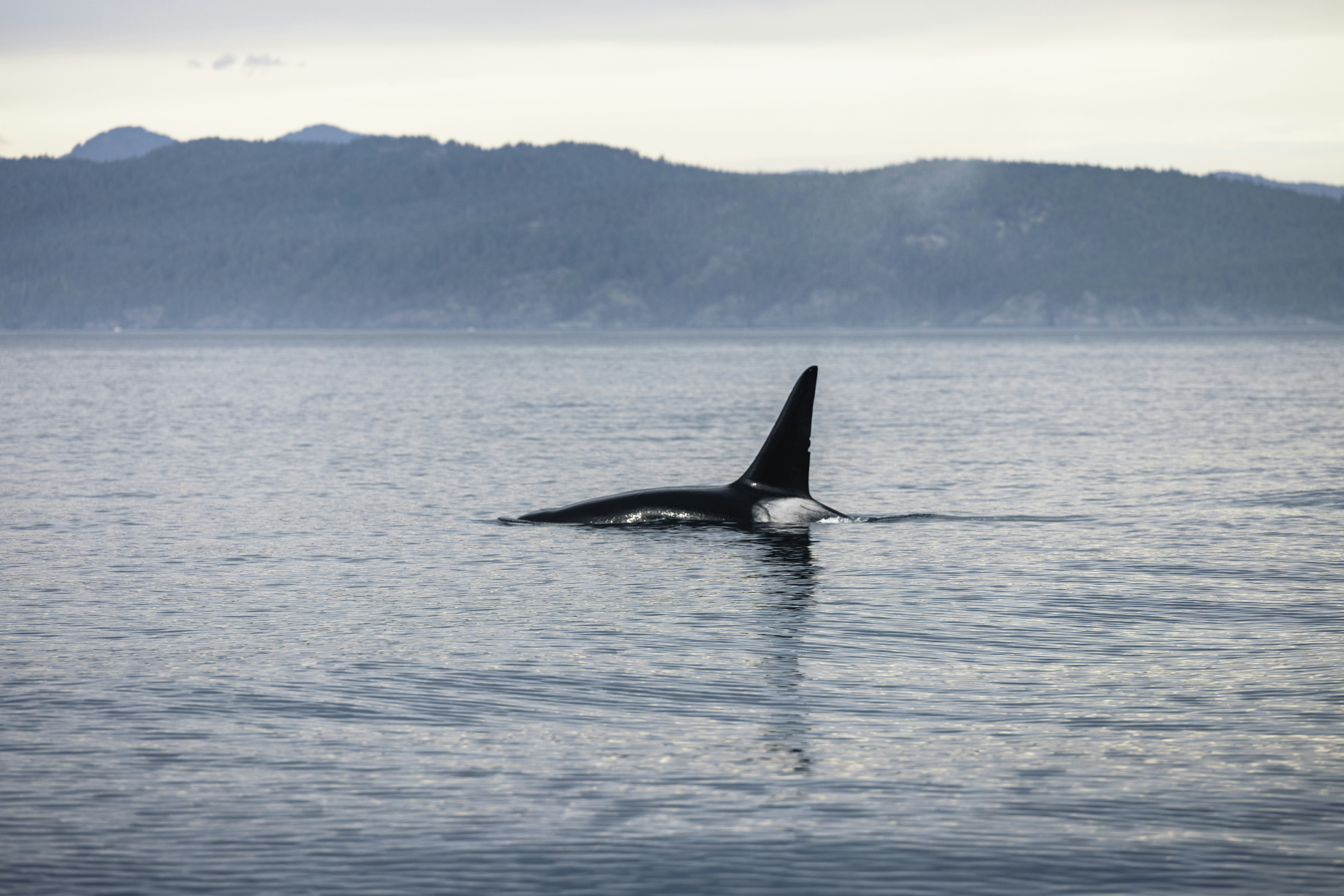 Photo by lureofadventure