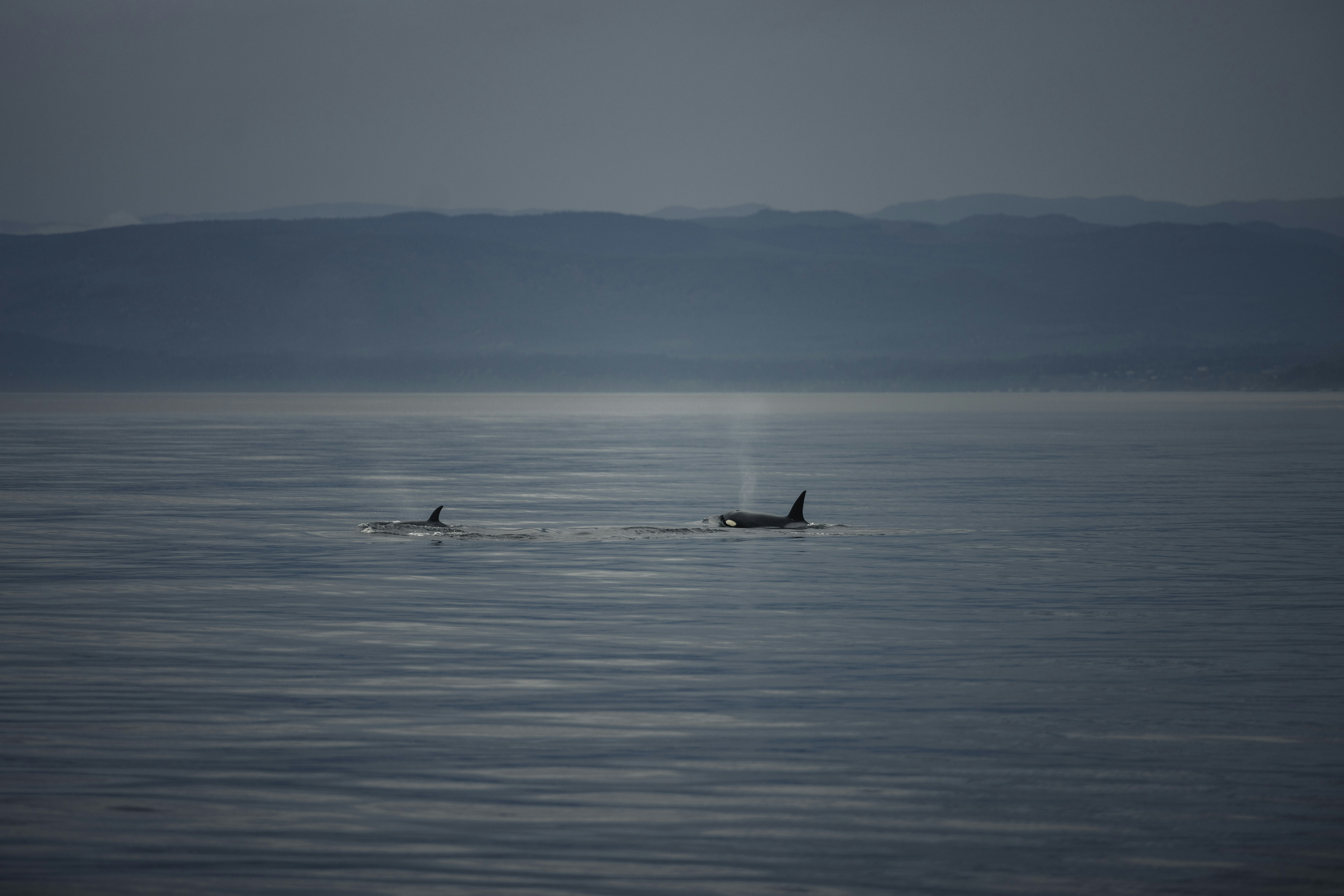 Photo by lureofadventure