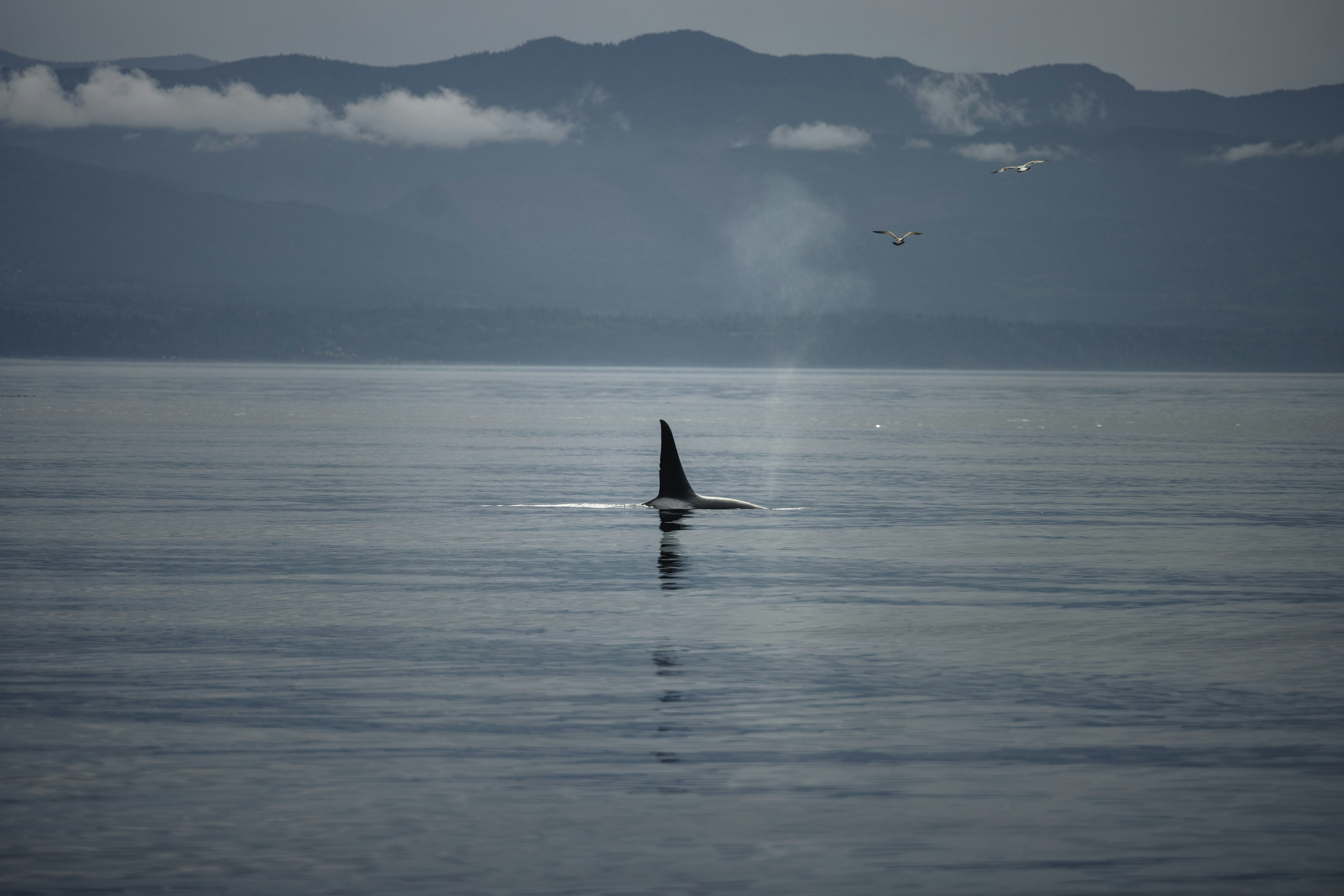 Photo by lureofadventure