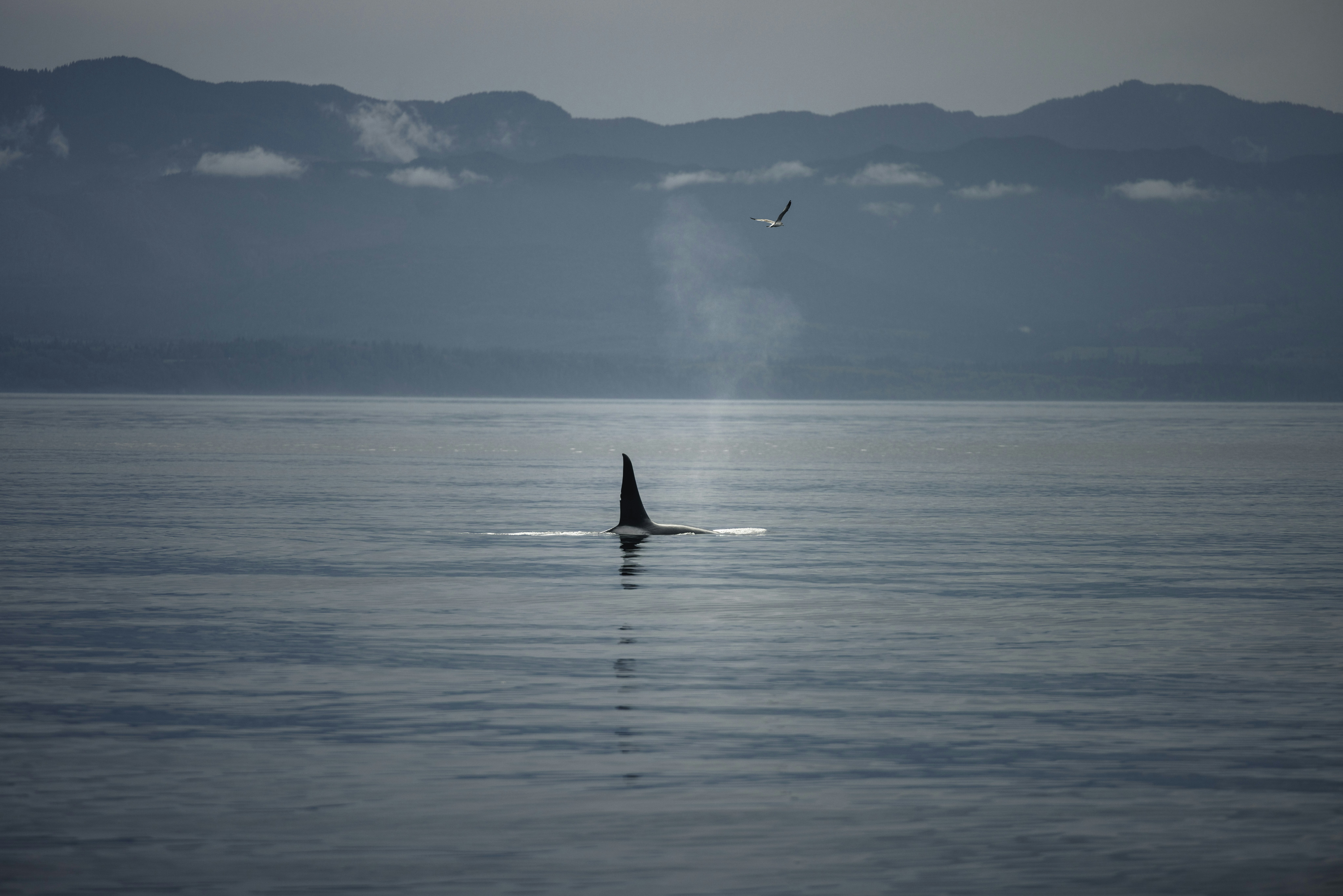 Photo by lureofadventure