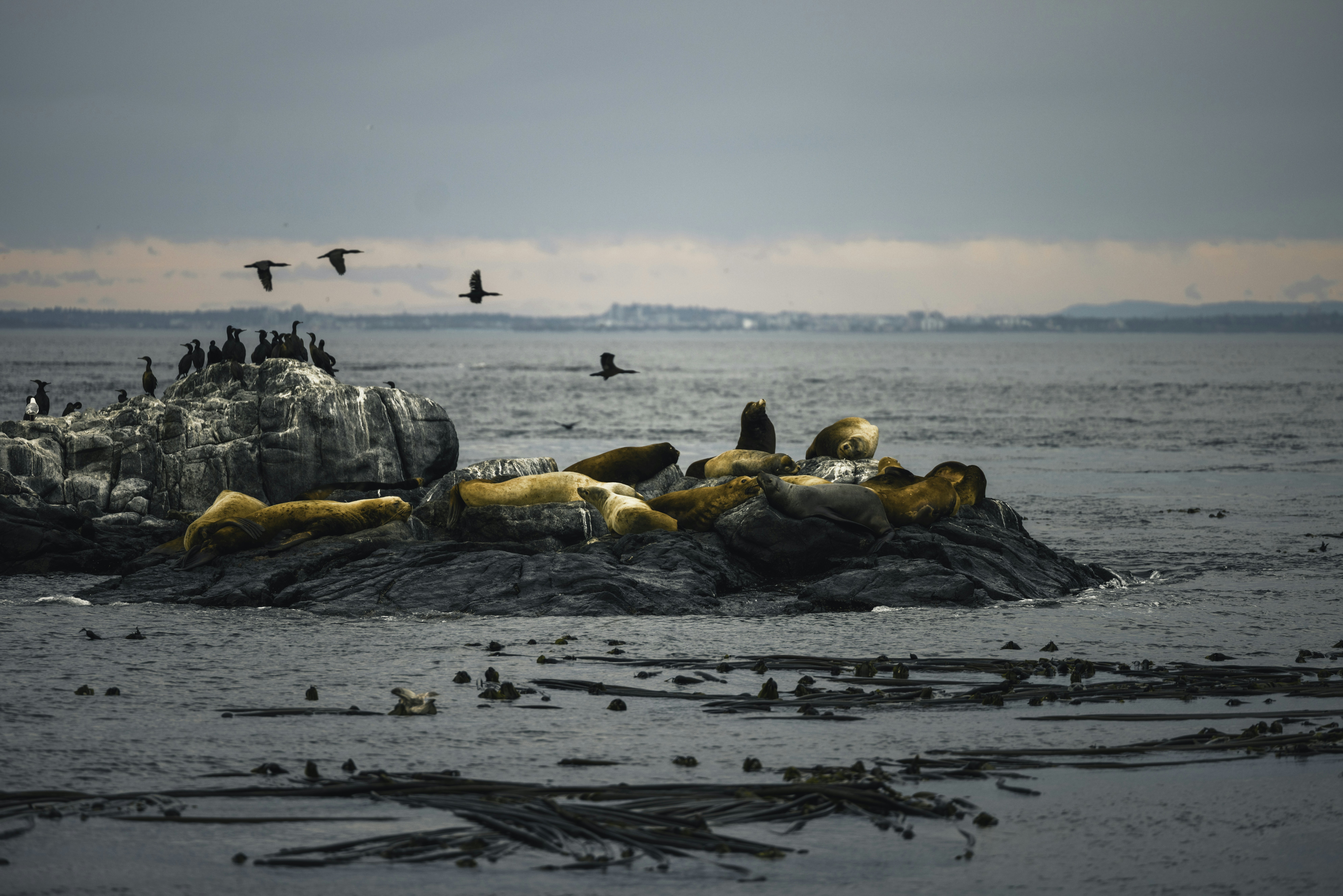 Photo by lureofadventure