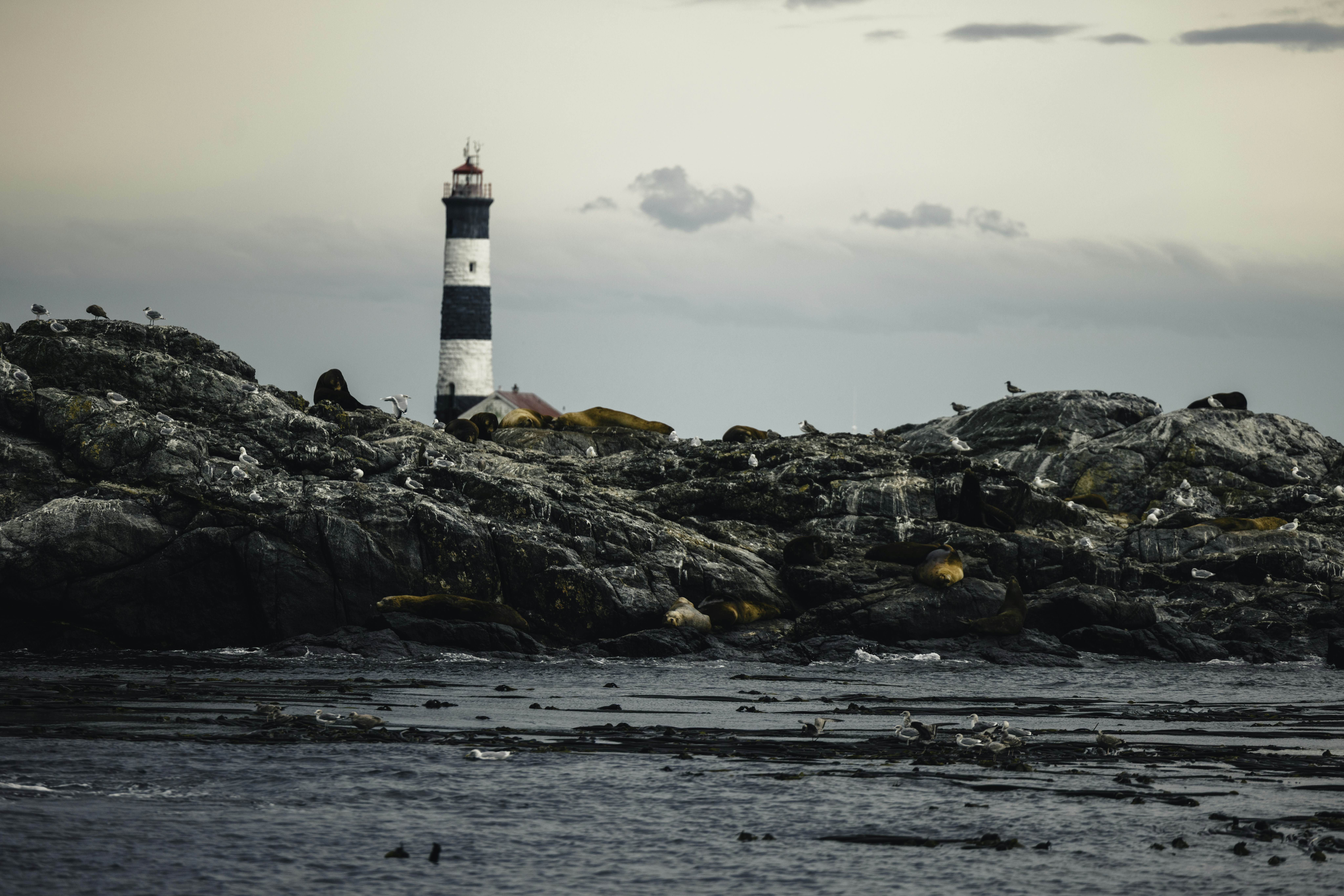 Photo by lureofadventure