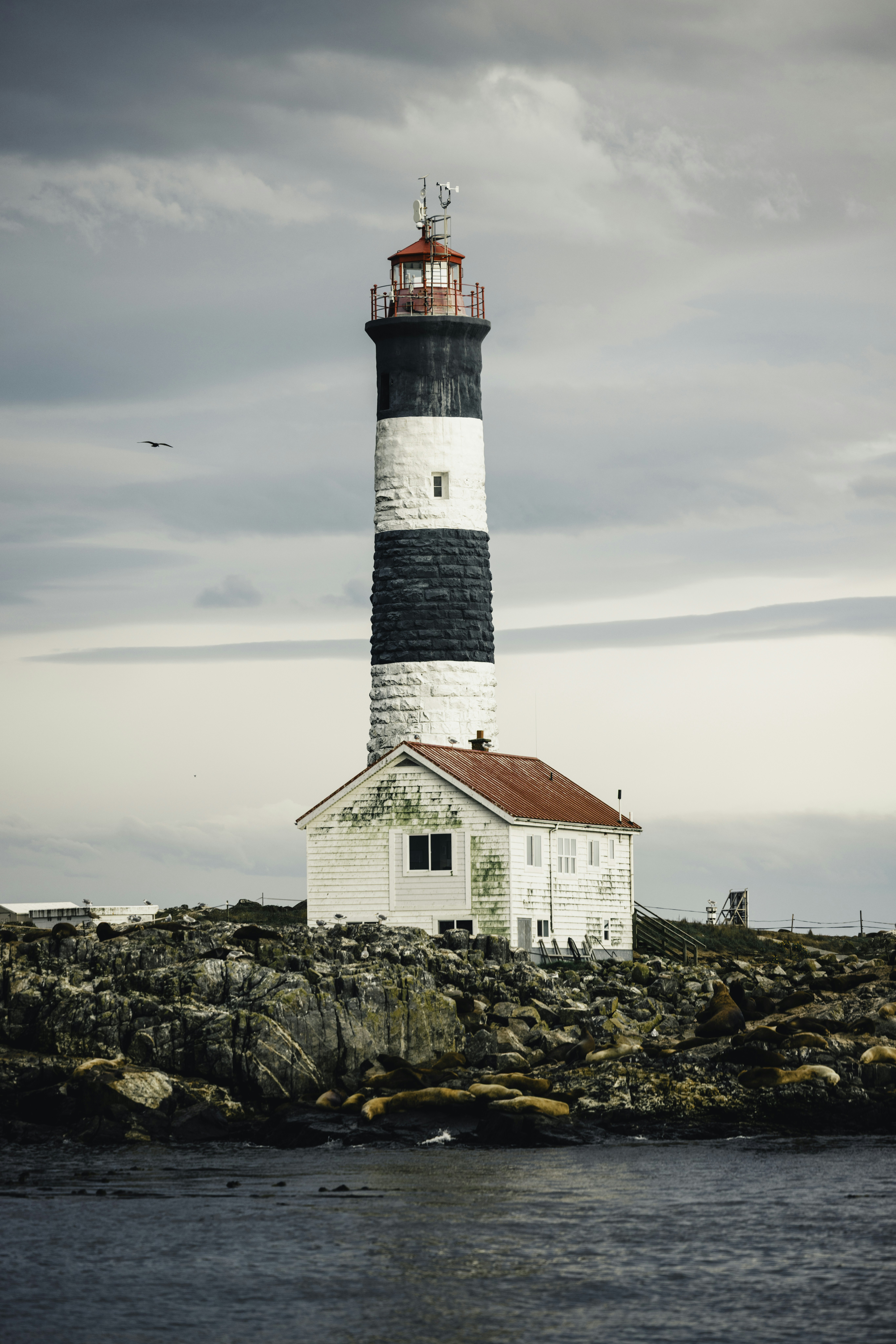 Photo by lureofadventure