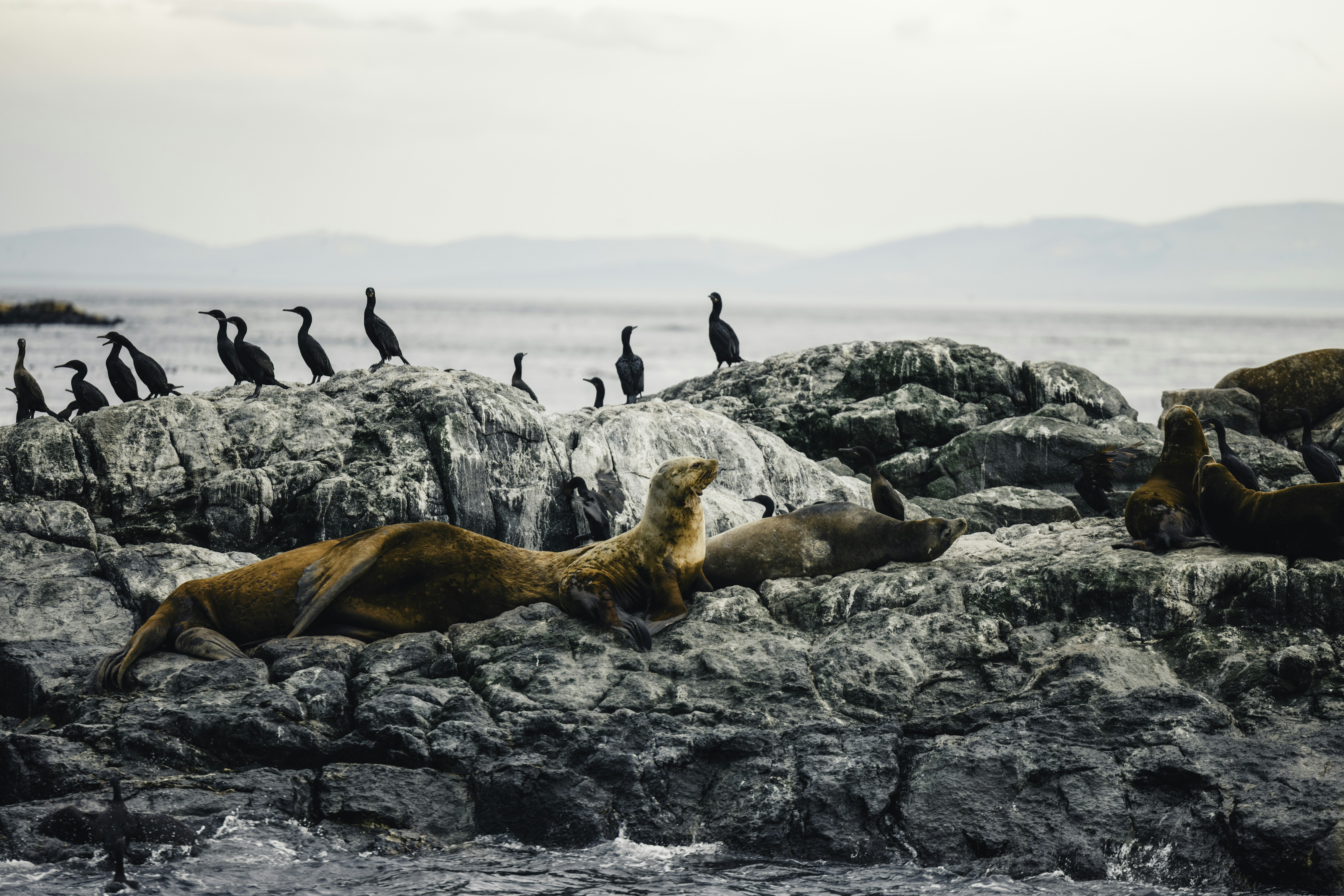 Photo by lureofadventure