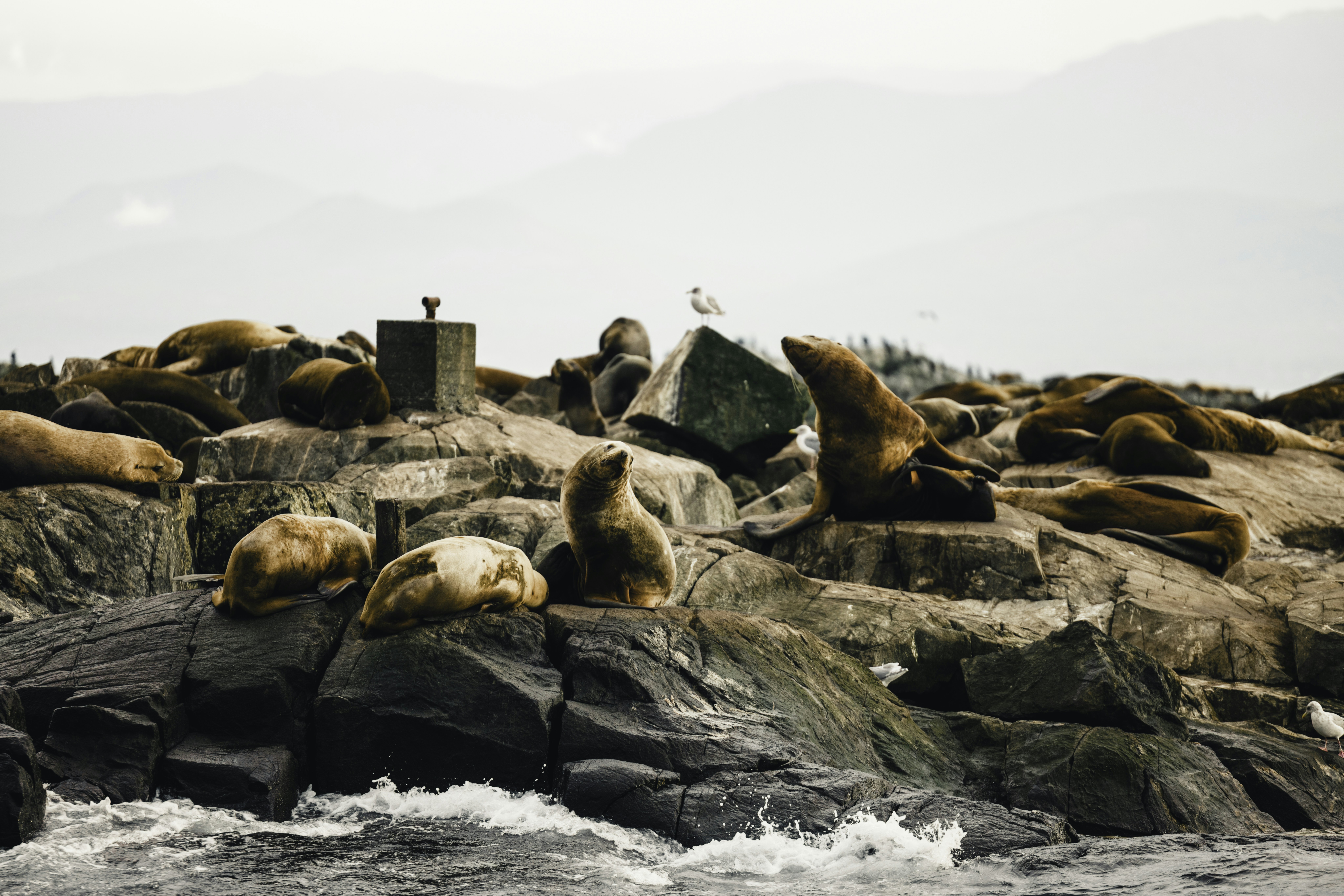 Photo by lureofadventure