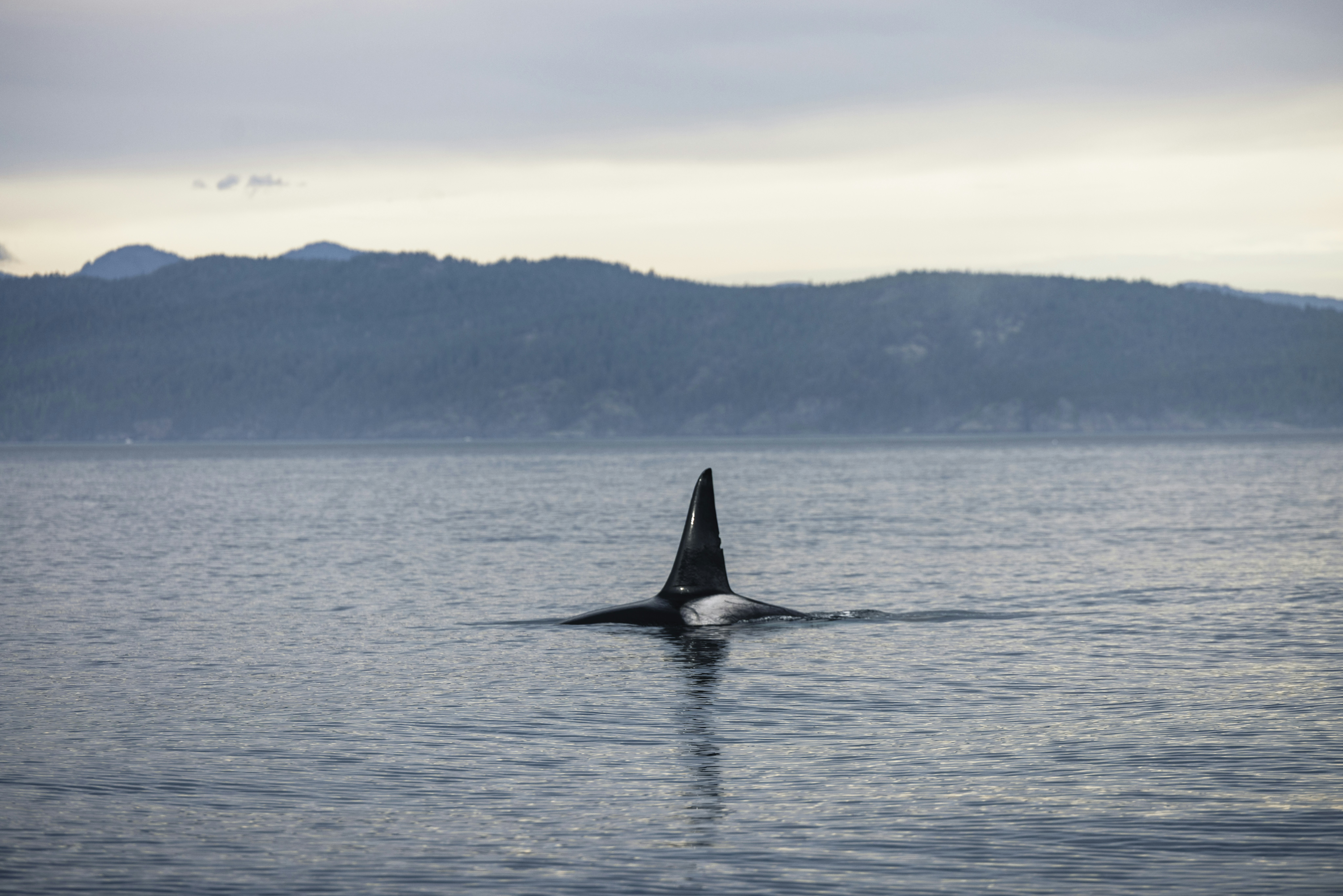 Photo by lureofadventure