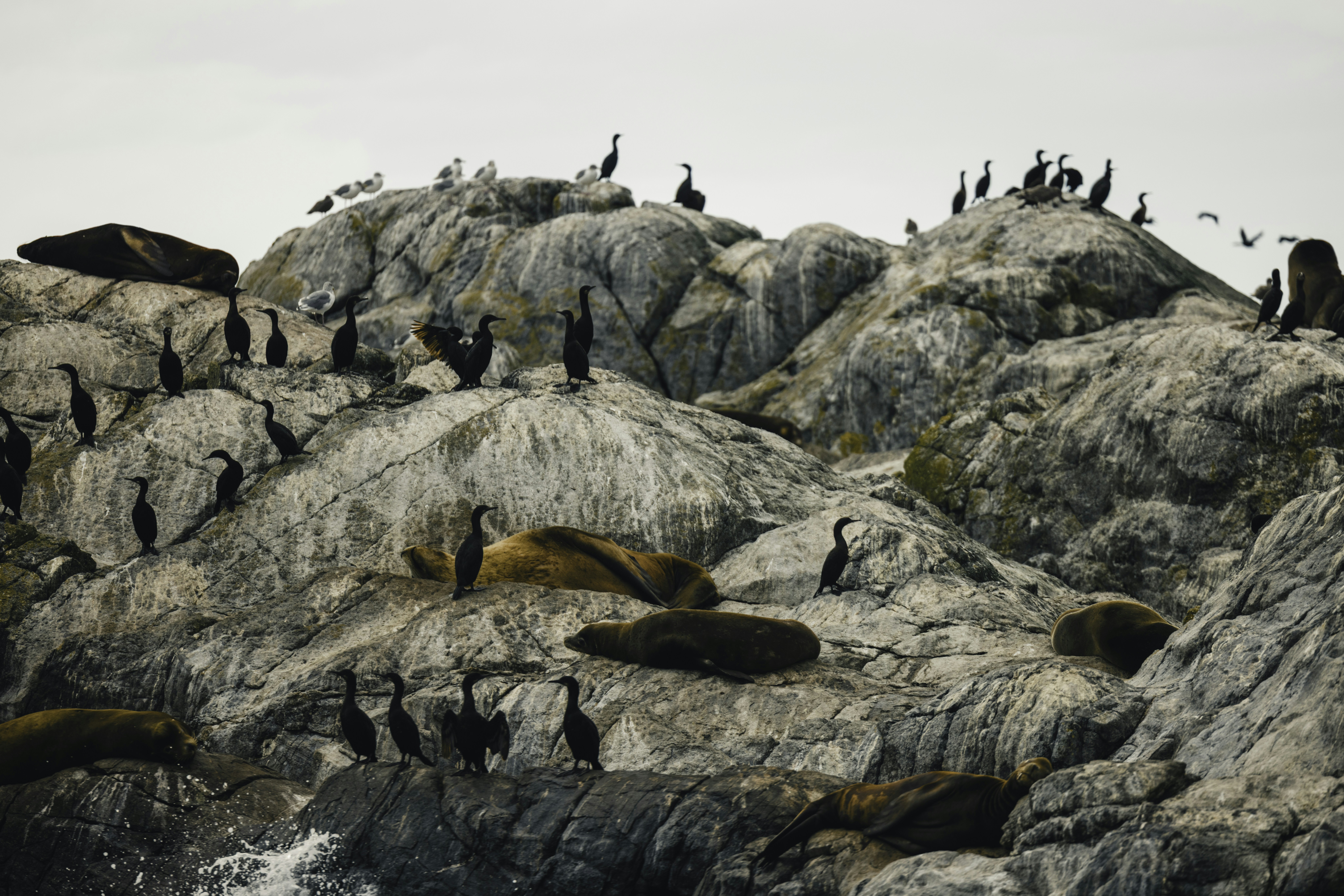 Photo by lureofadventure