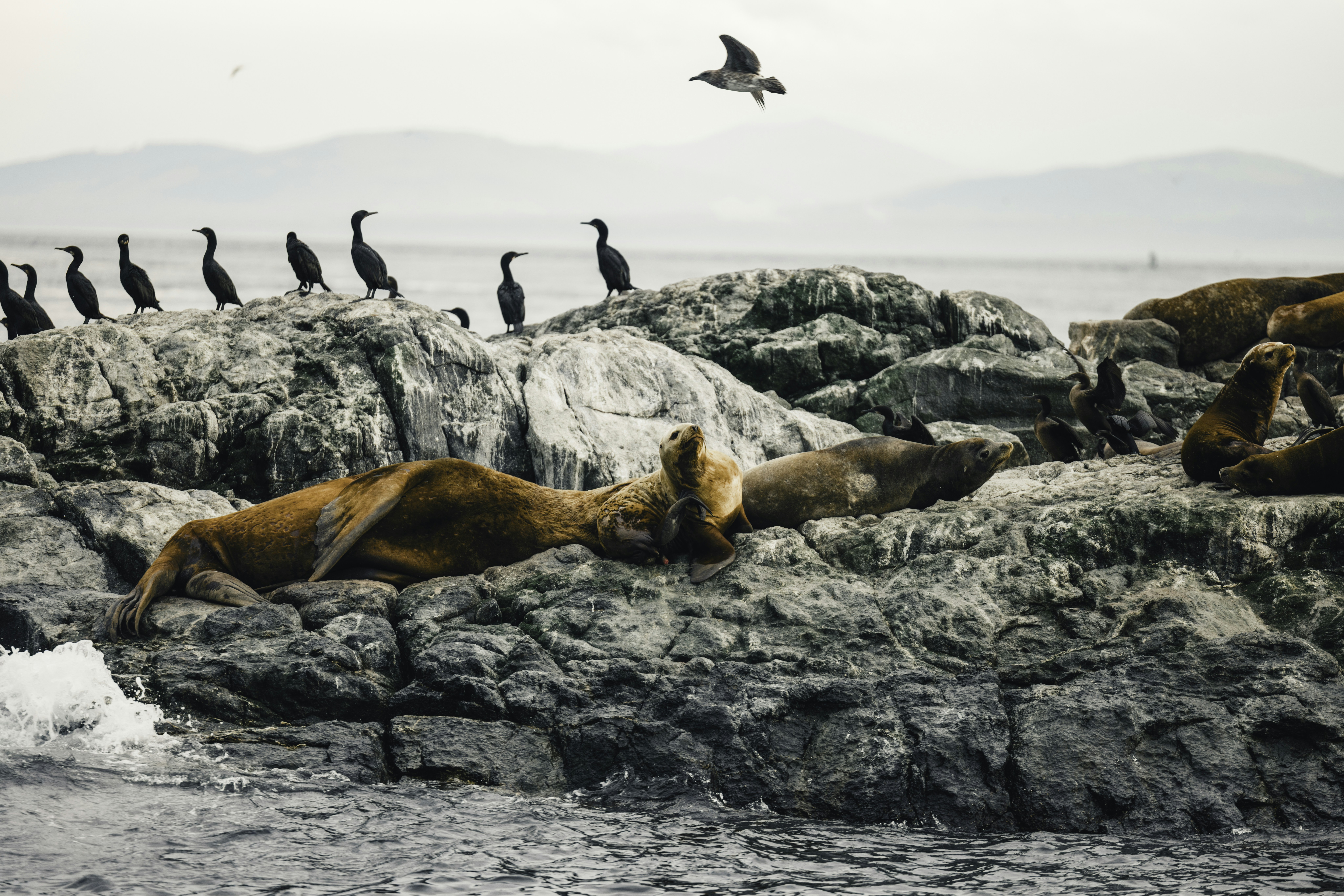 Photo by lureofadventure