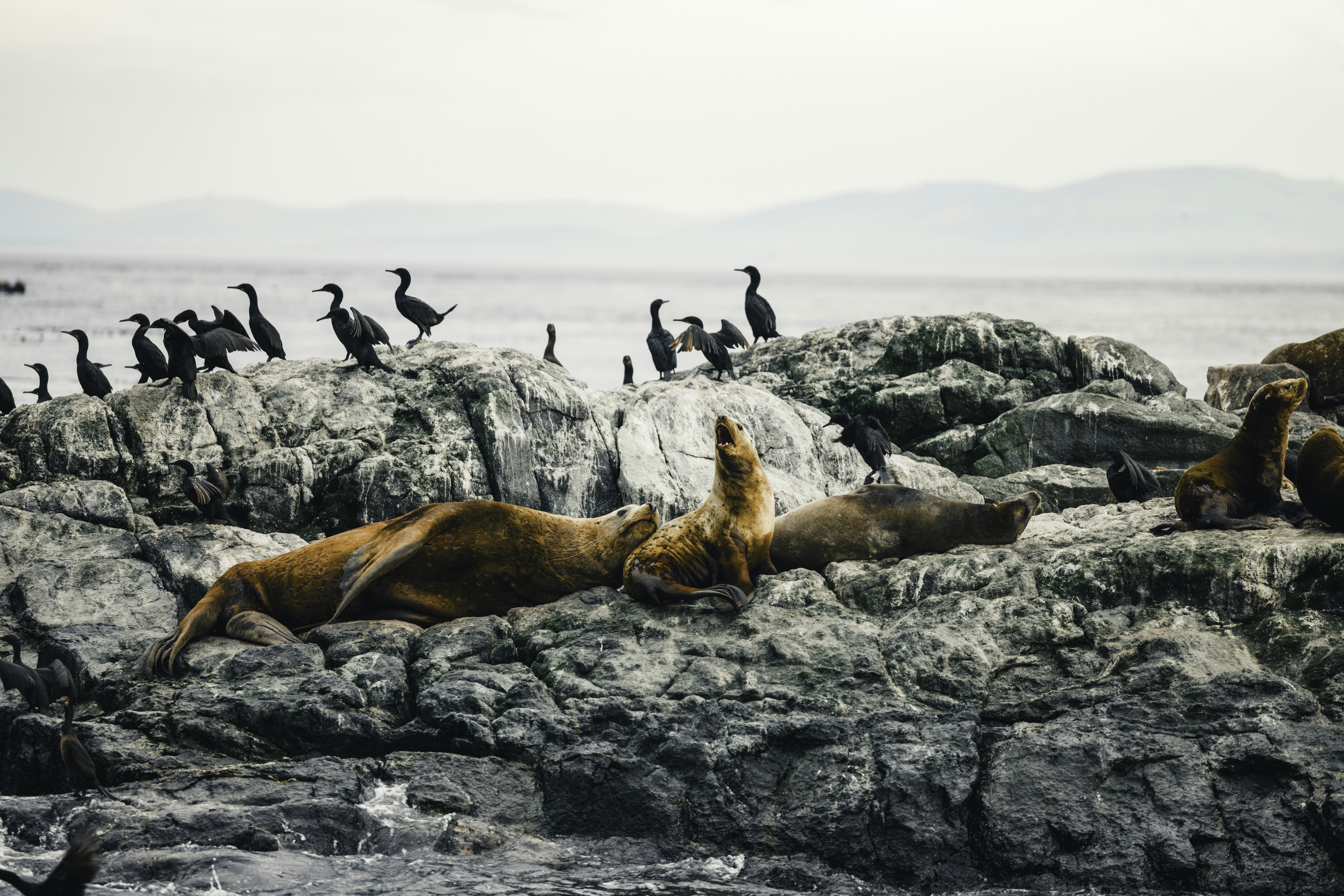 Photo by lureofadventure