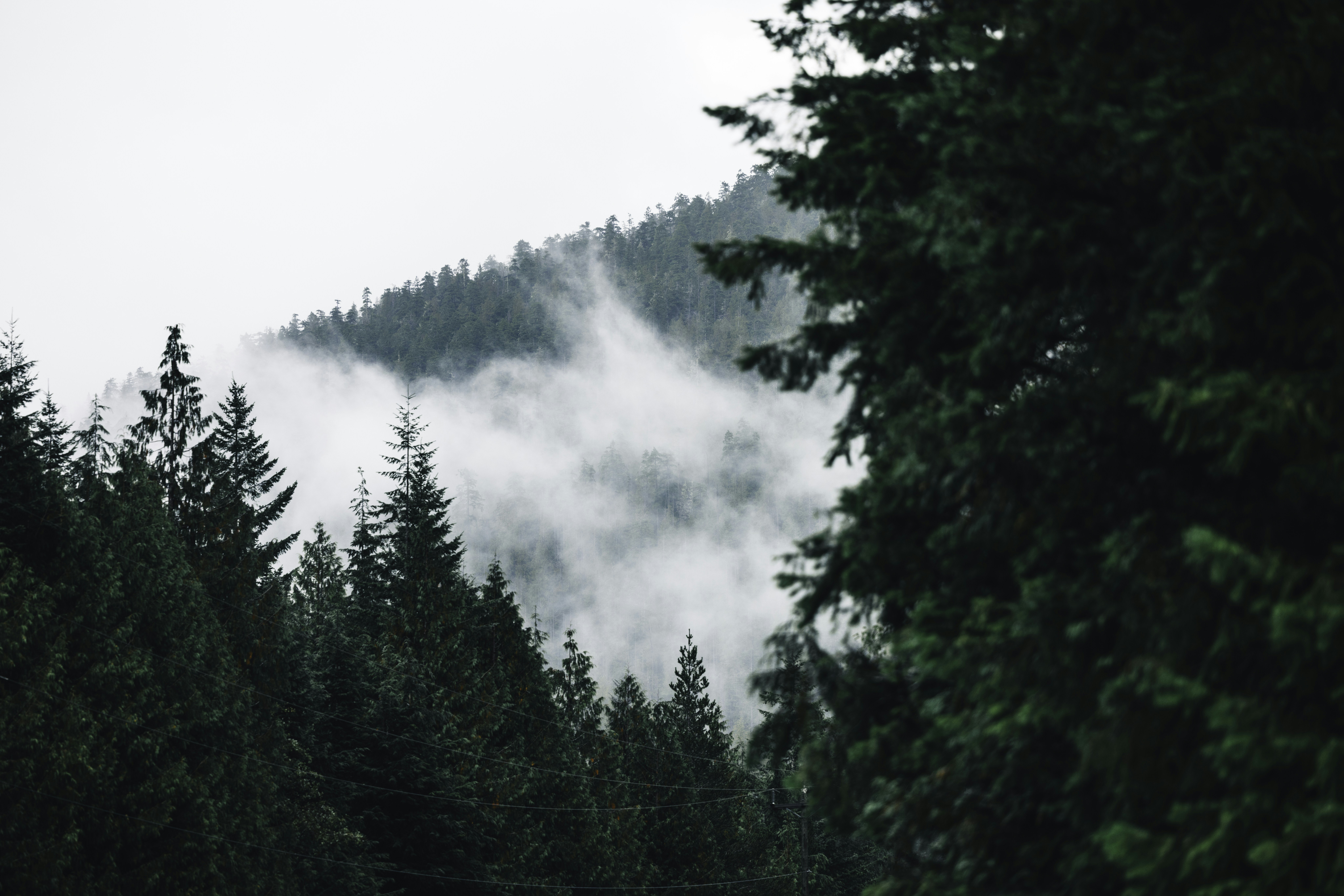 Photo by lureofadventure