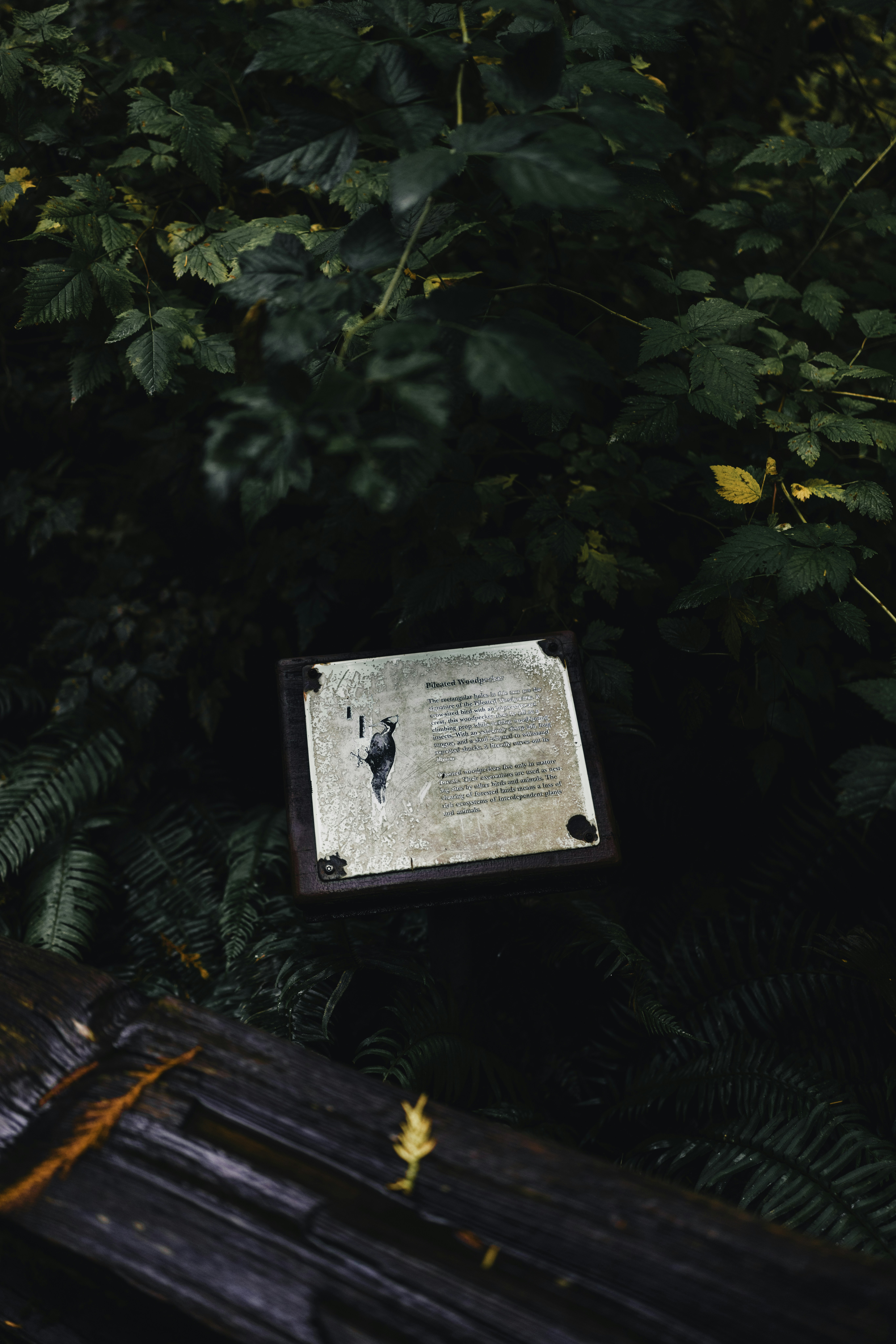 Photo by lureofadventure