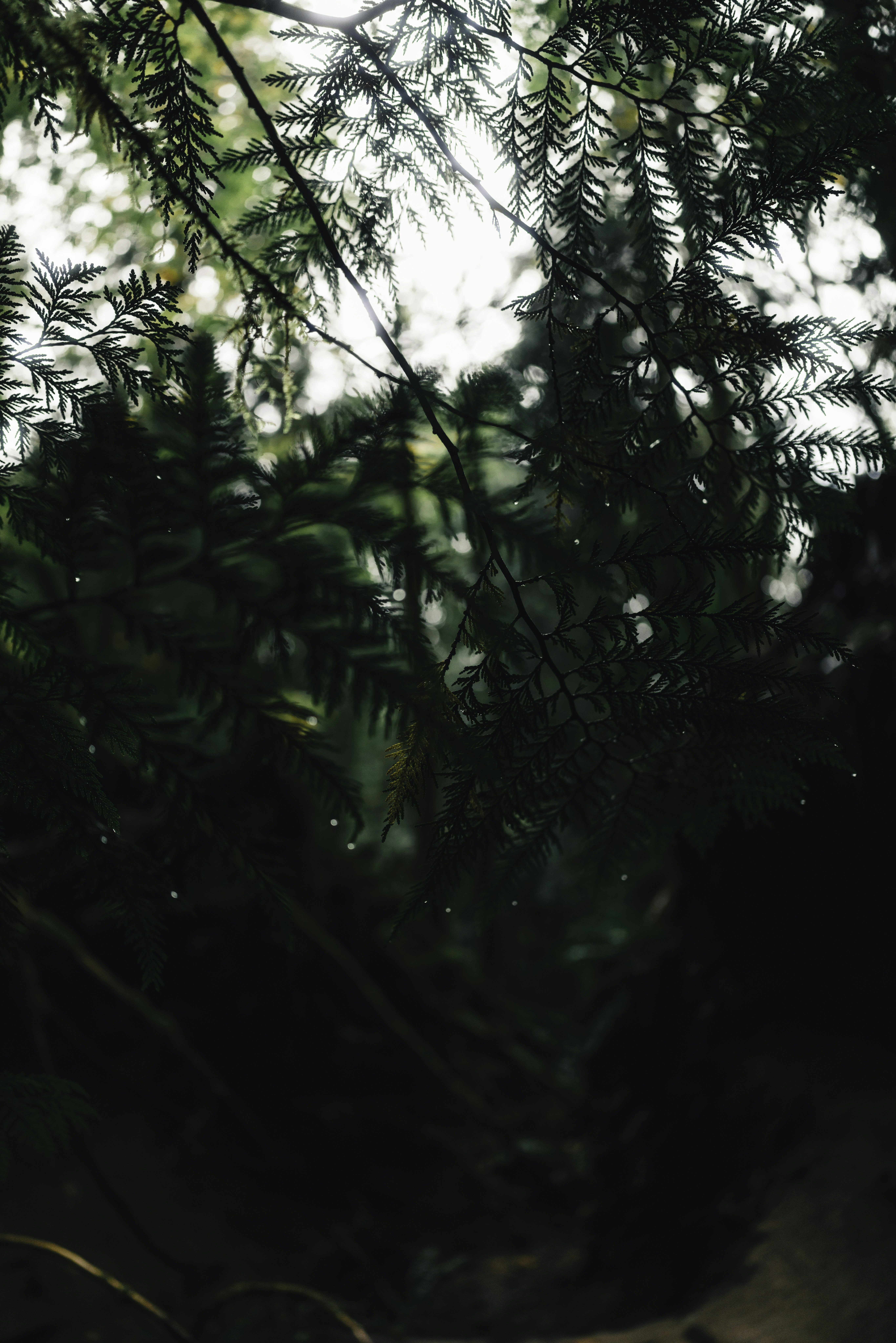 Photo by lureofadventure