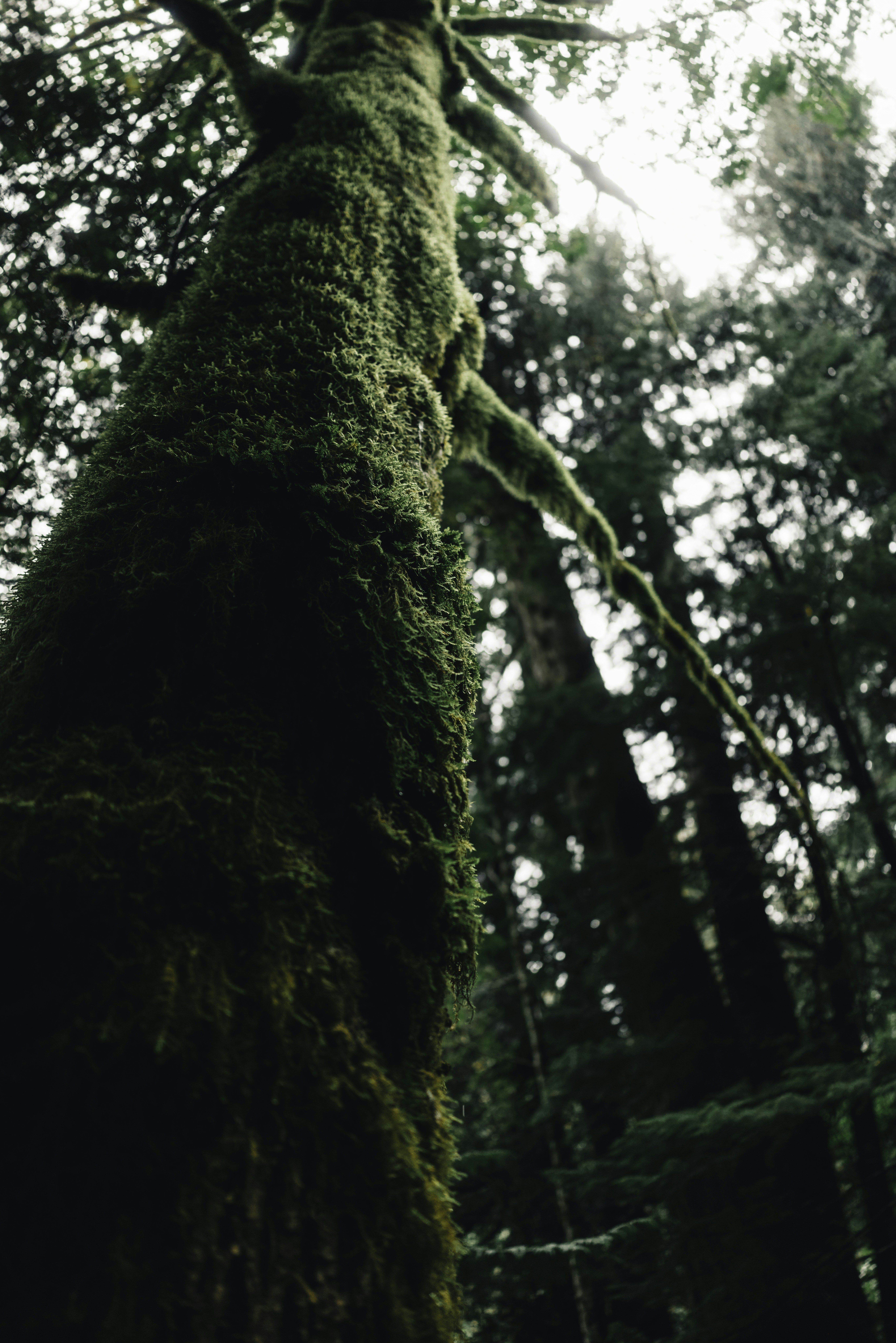 Photo by lureofadventure