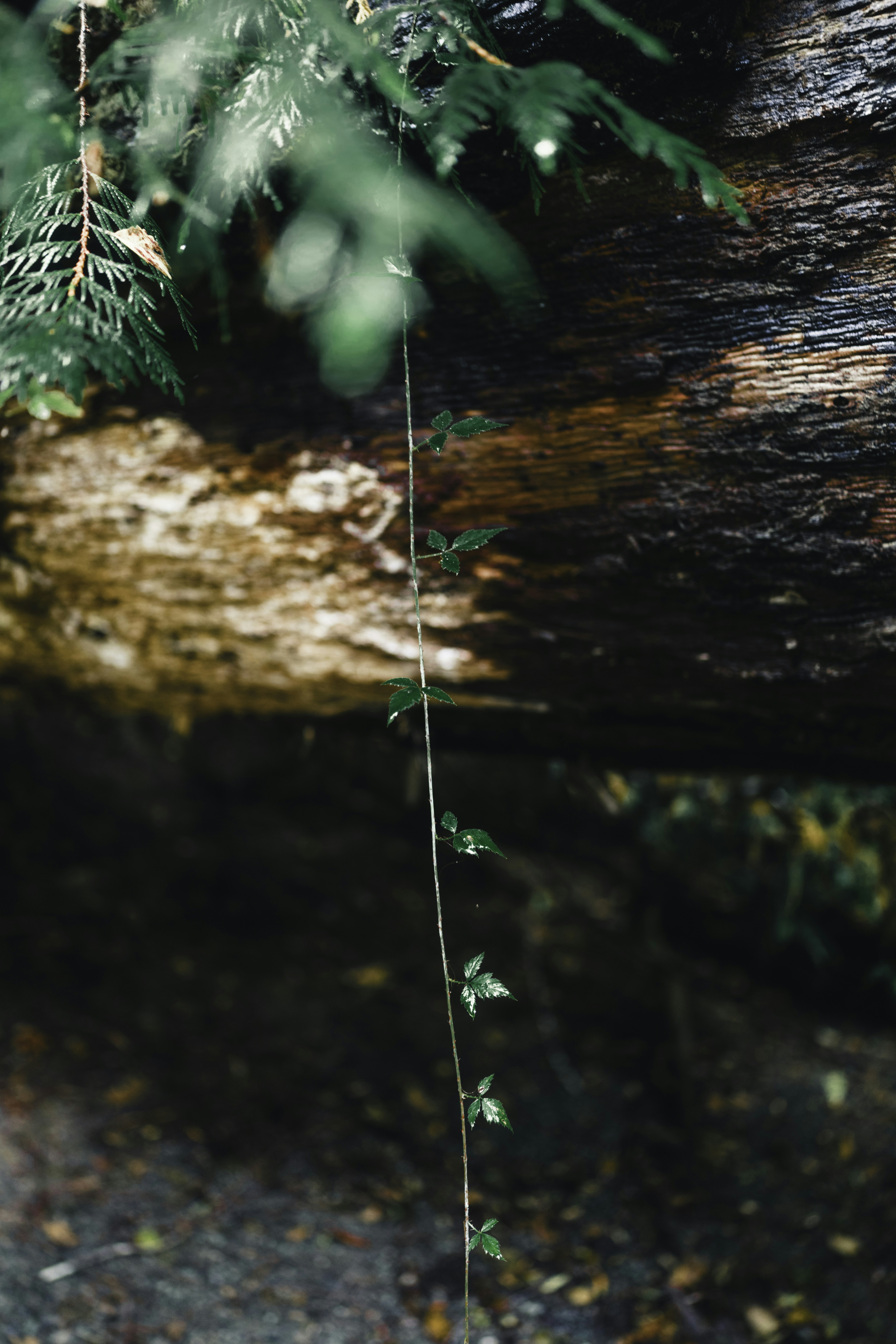 Photo by lureofadventure