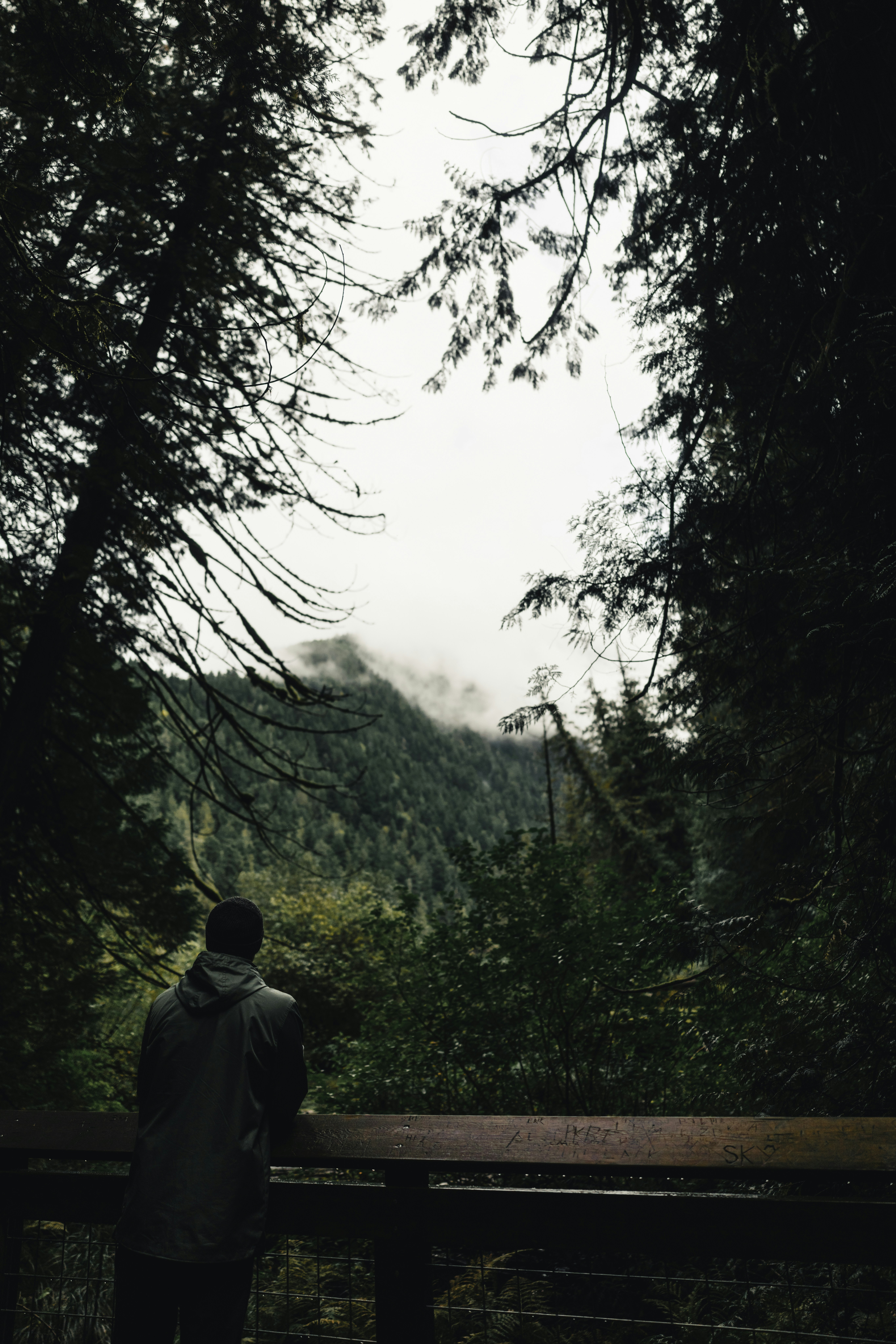 Photo by lureofadventure