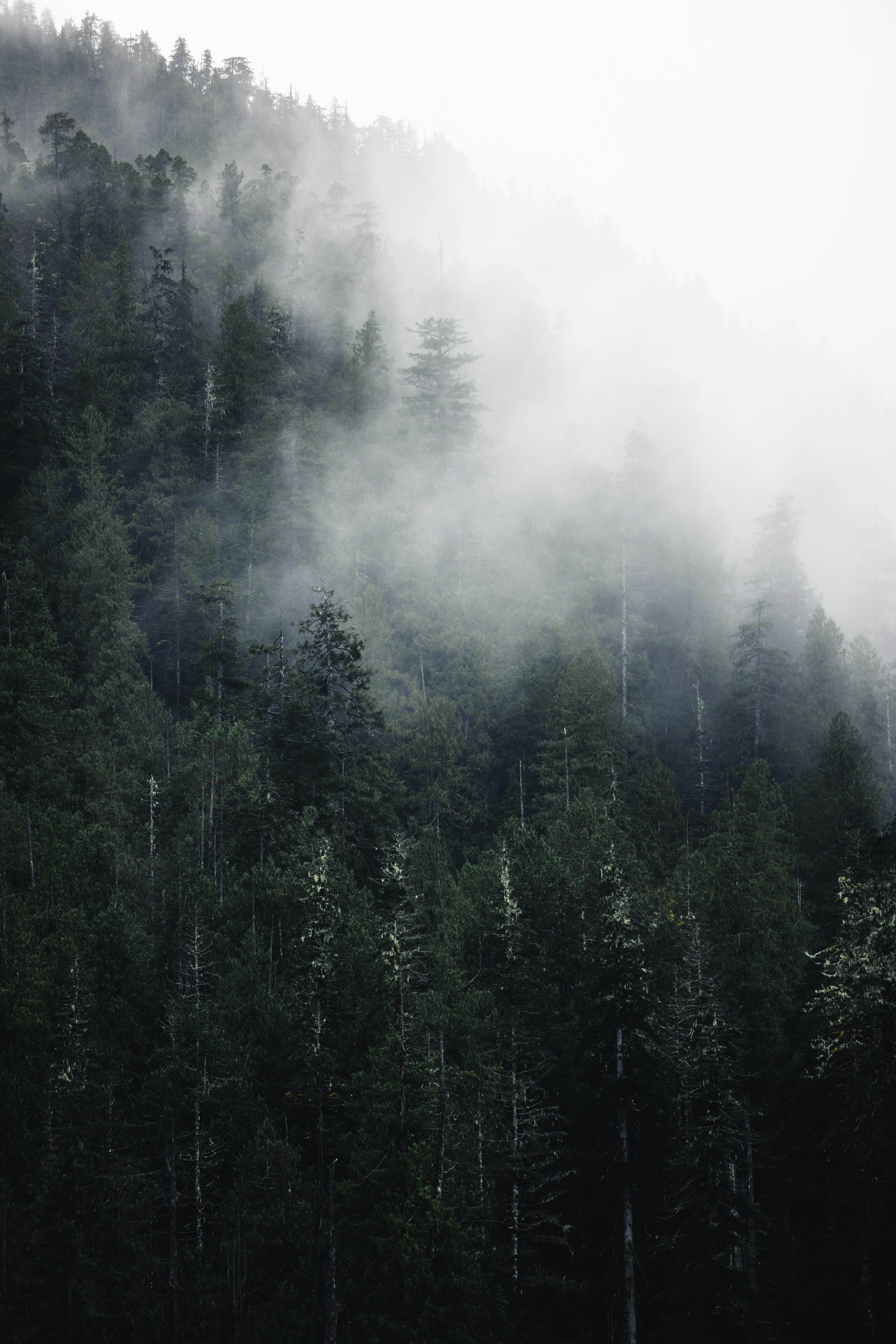 Photo by lureofadventure