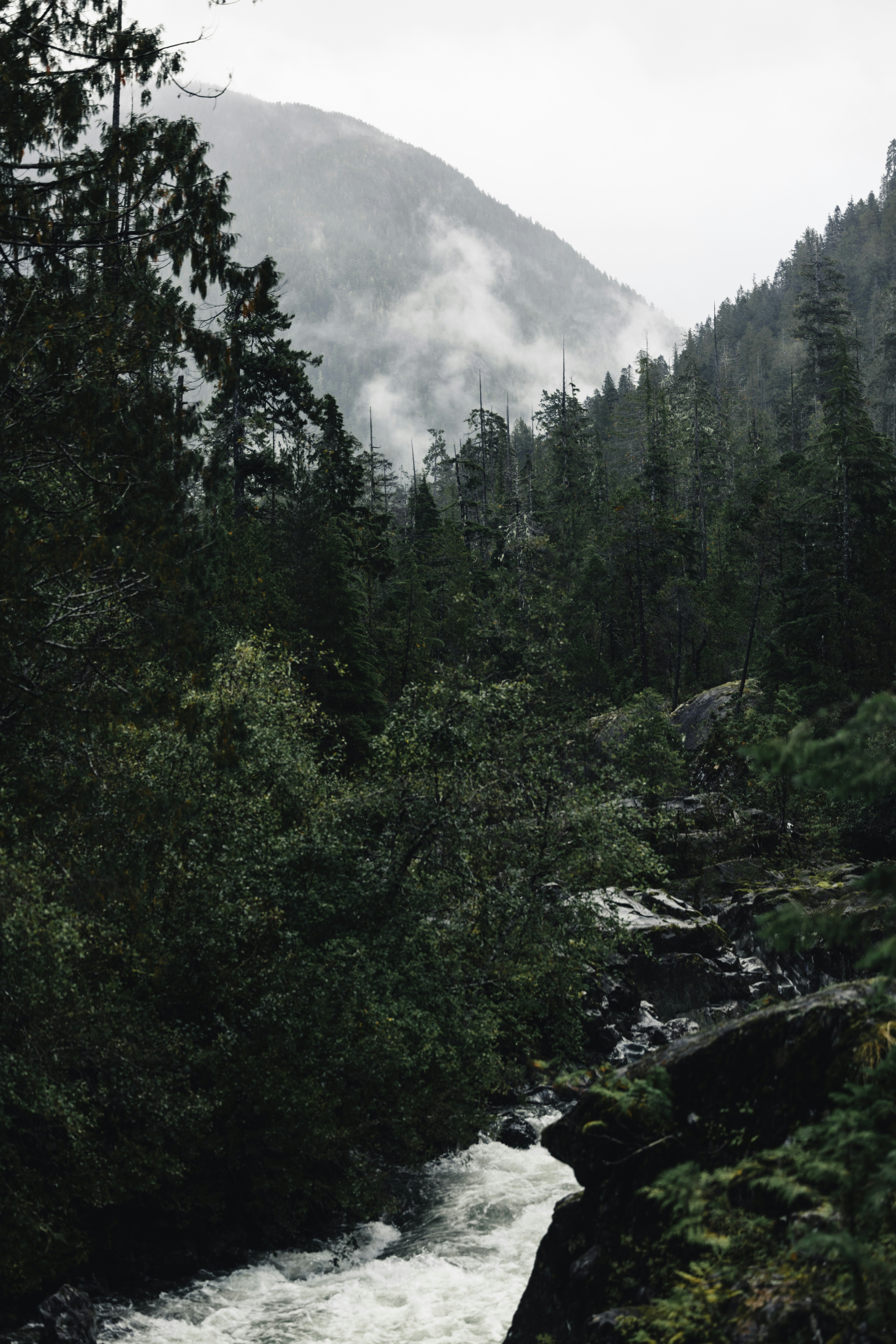 Photo by lureofadventure