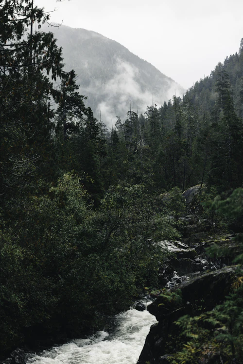 Misty forested hills in Uganda