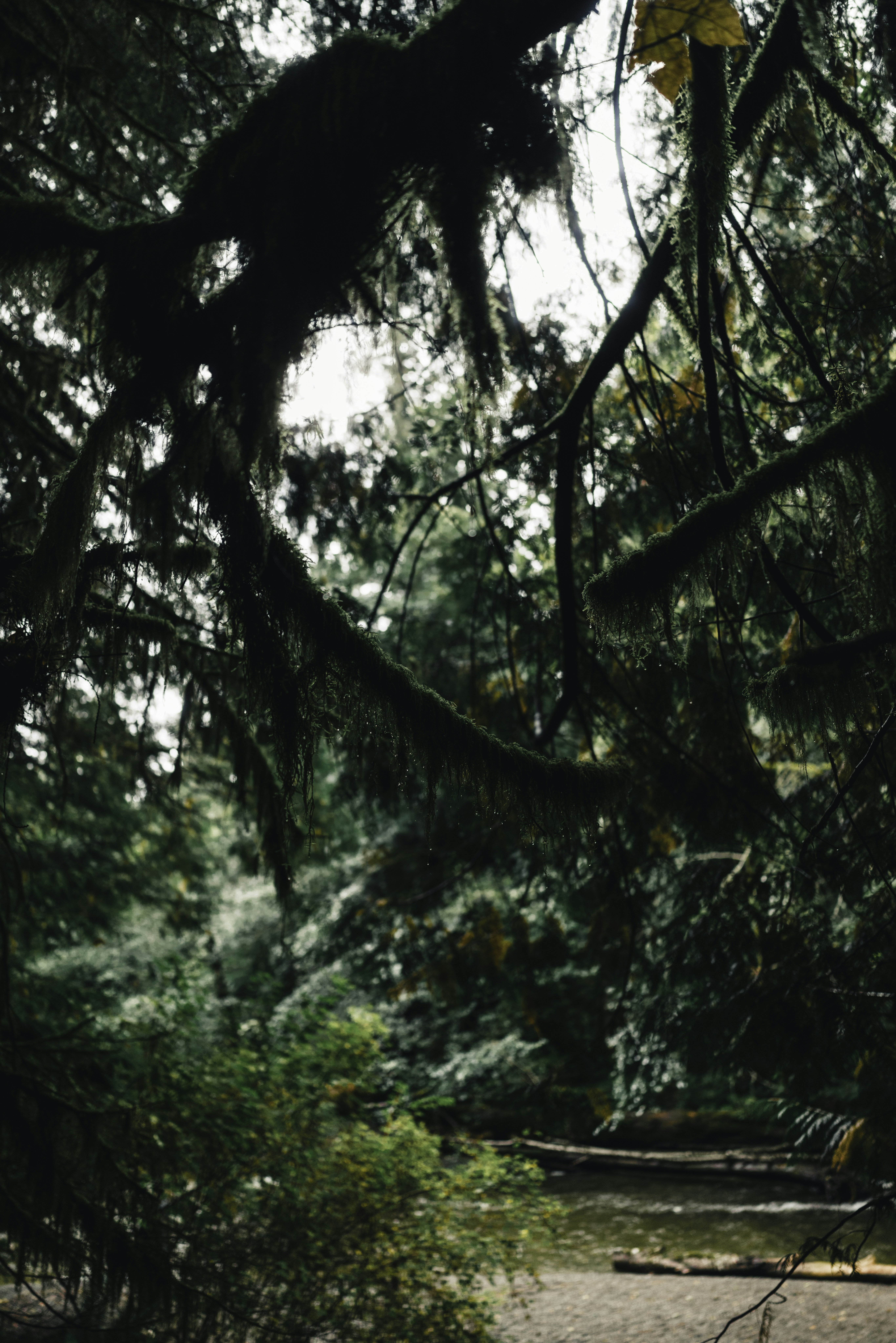 Photo by lureofadventure