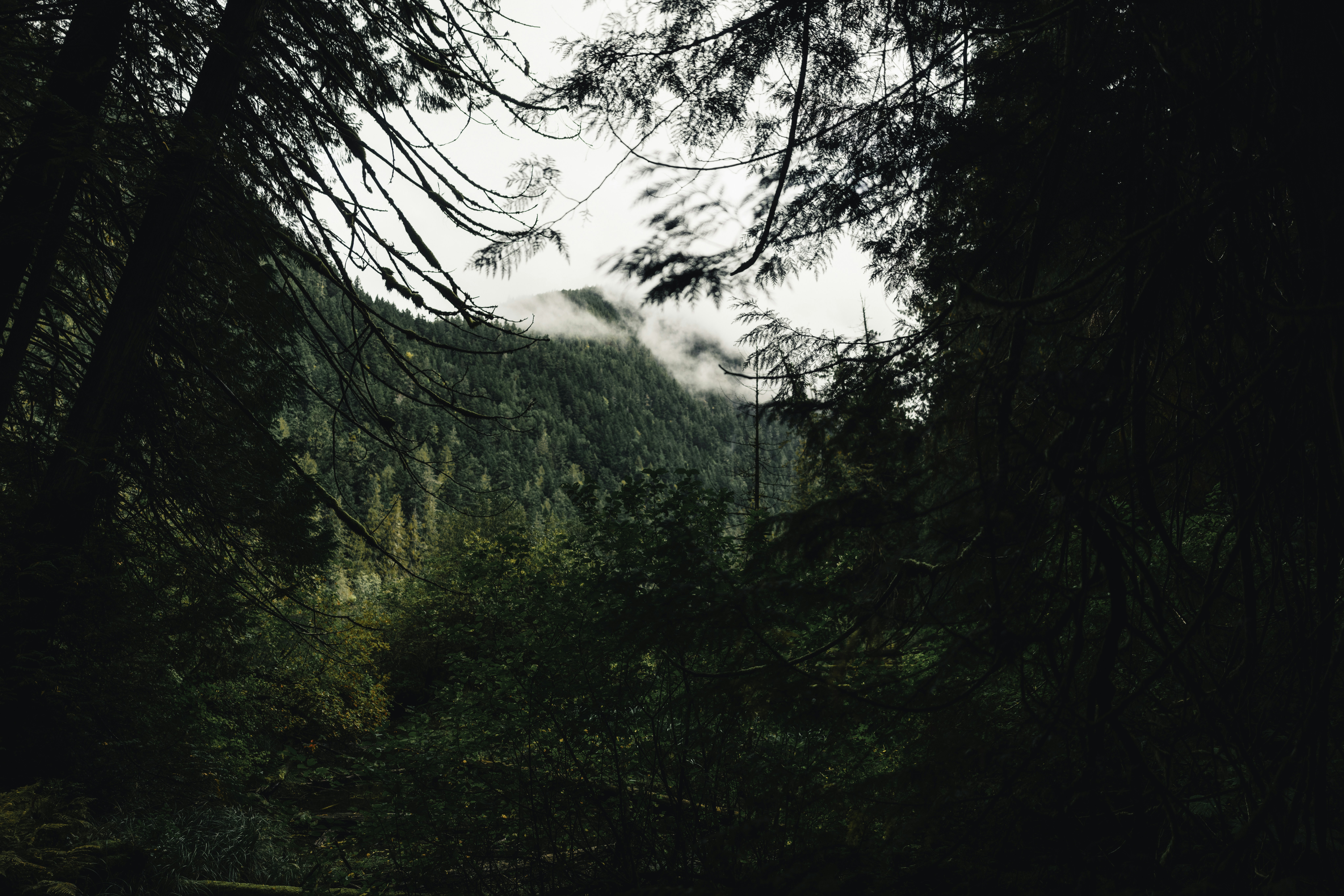 Photo by lureofadventure