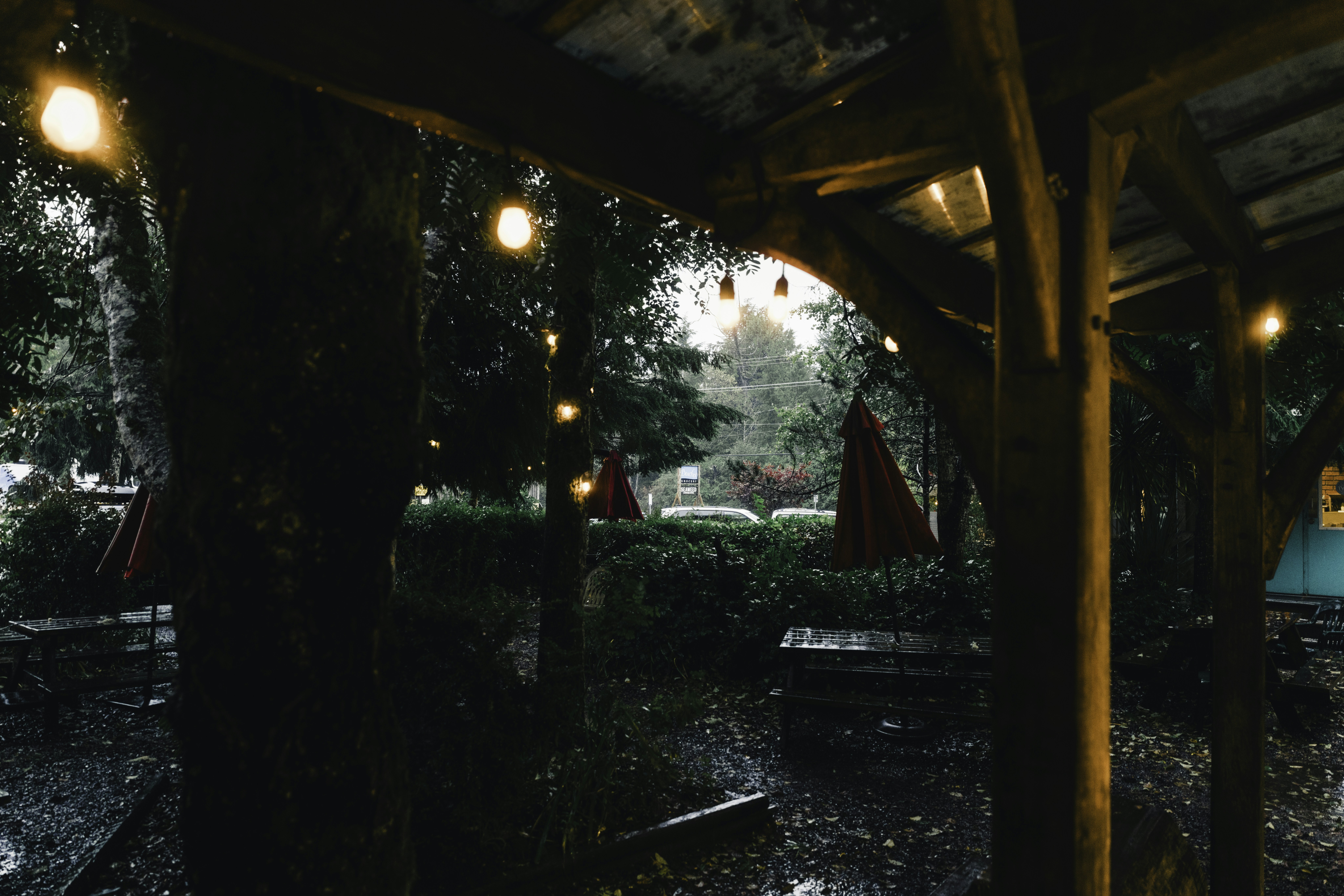 戶外婚禮下雨免驚！活動紀錄遇到下雨怎麼辦？專業備案與雨中拍攝技巧全攻略